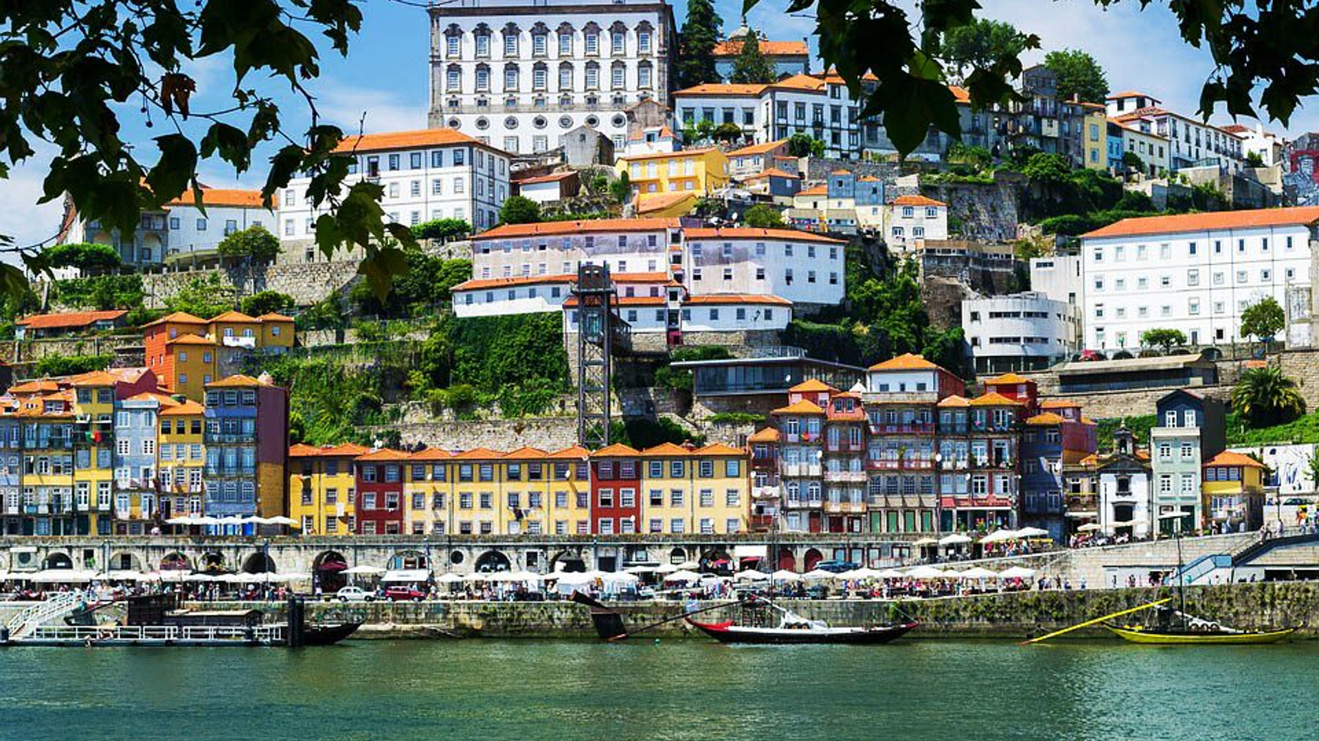 85f11f2c-2d1a-4f9c-a7eb-f7908eafb99a-1605090388