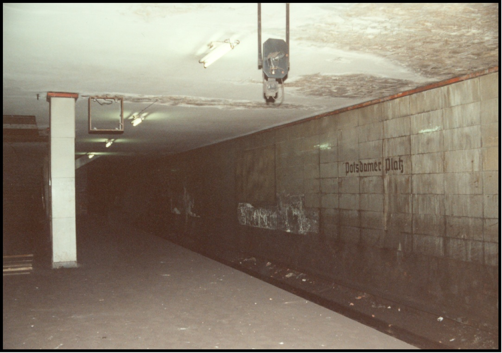 Hameister-1737536836