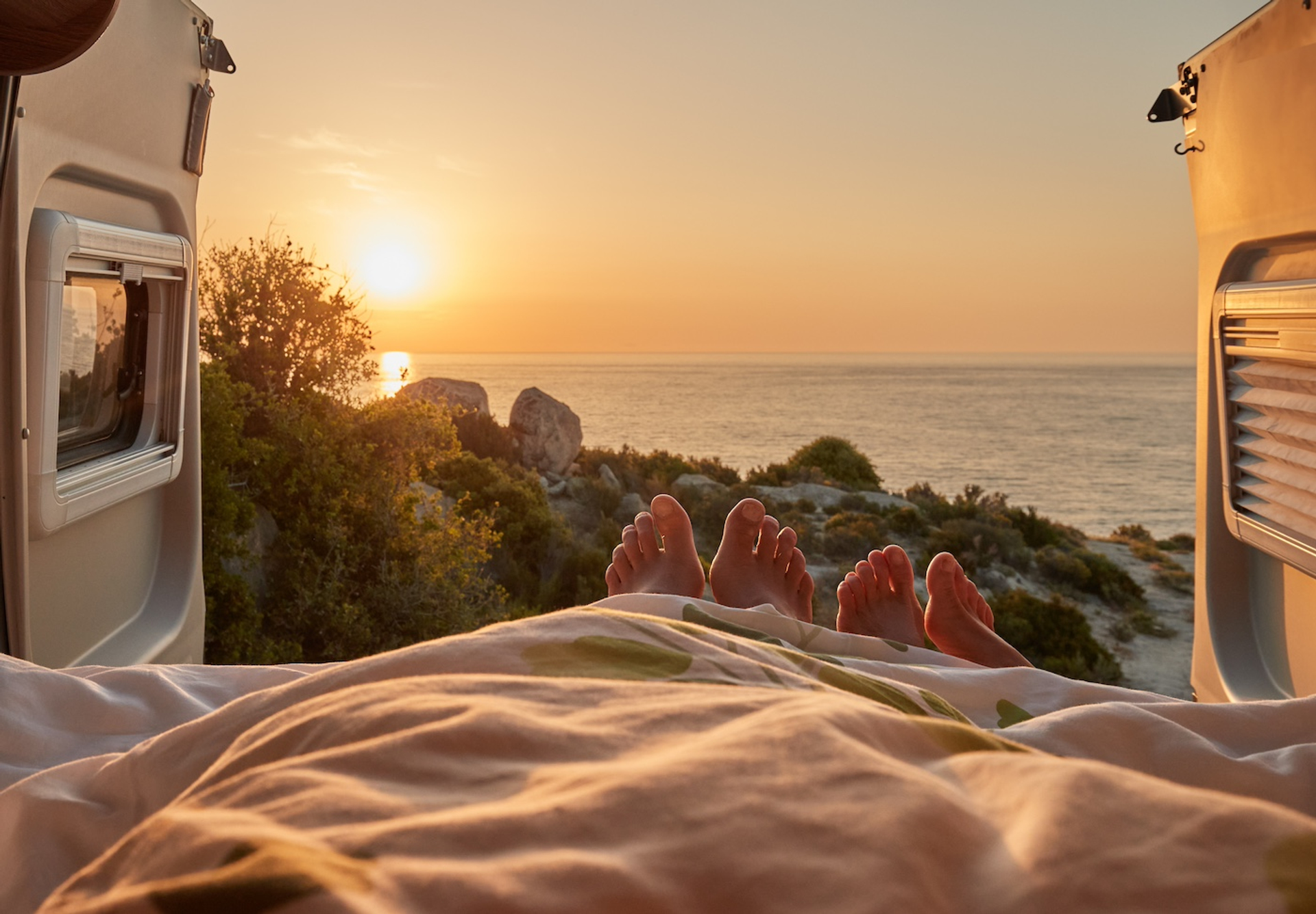 shutterstock_2470525745-1723460308