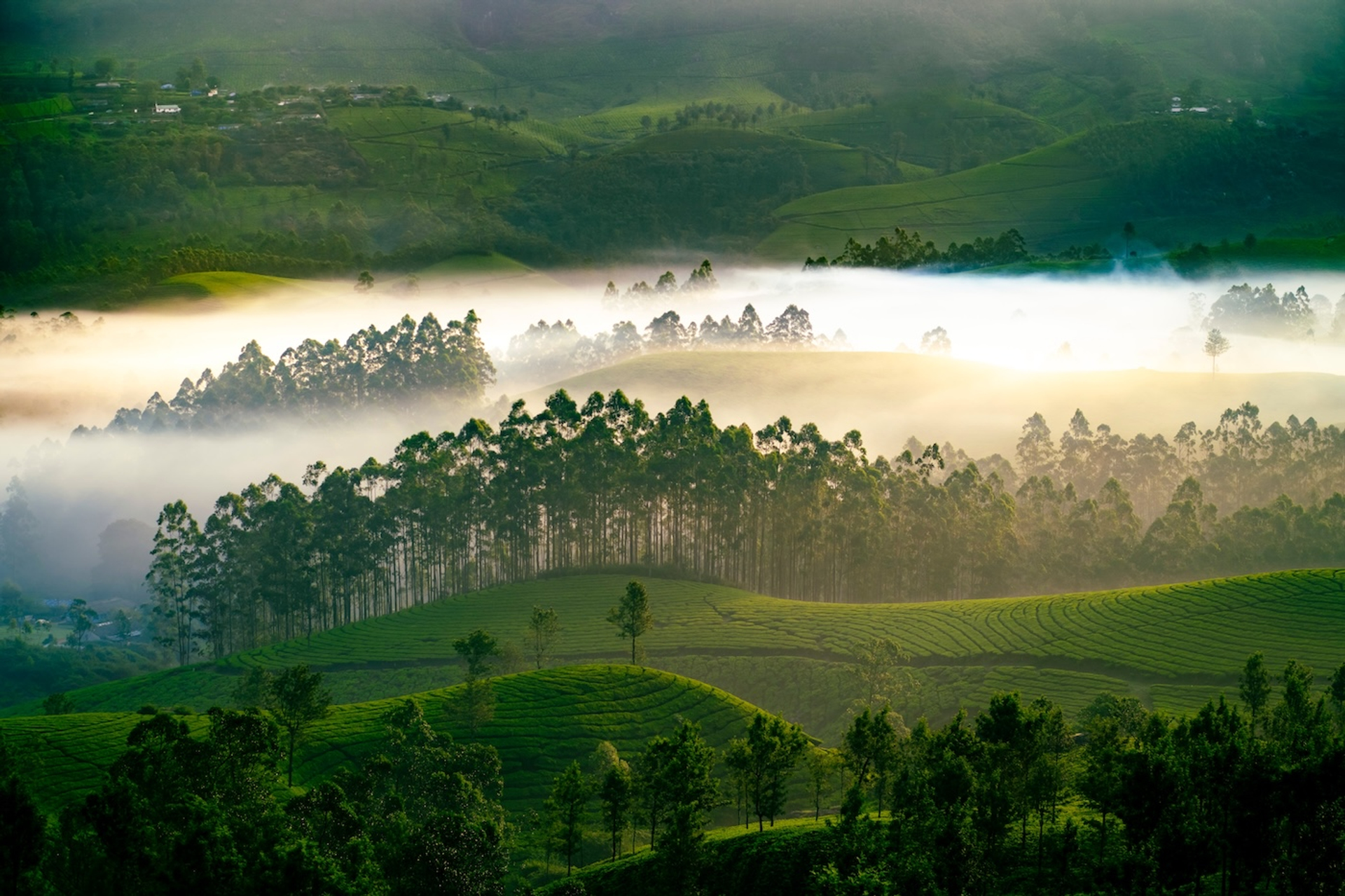 shutterstock_2475230263-1754057484