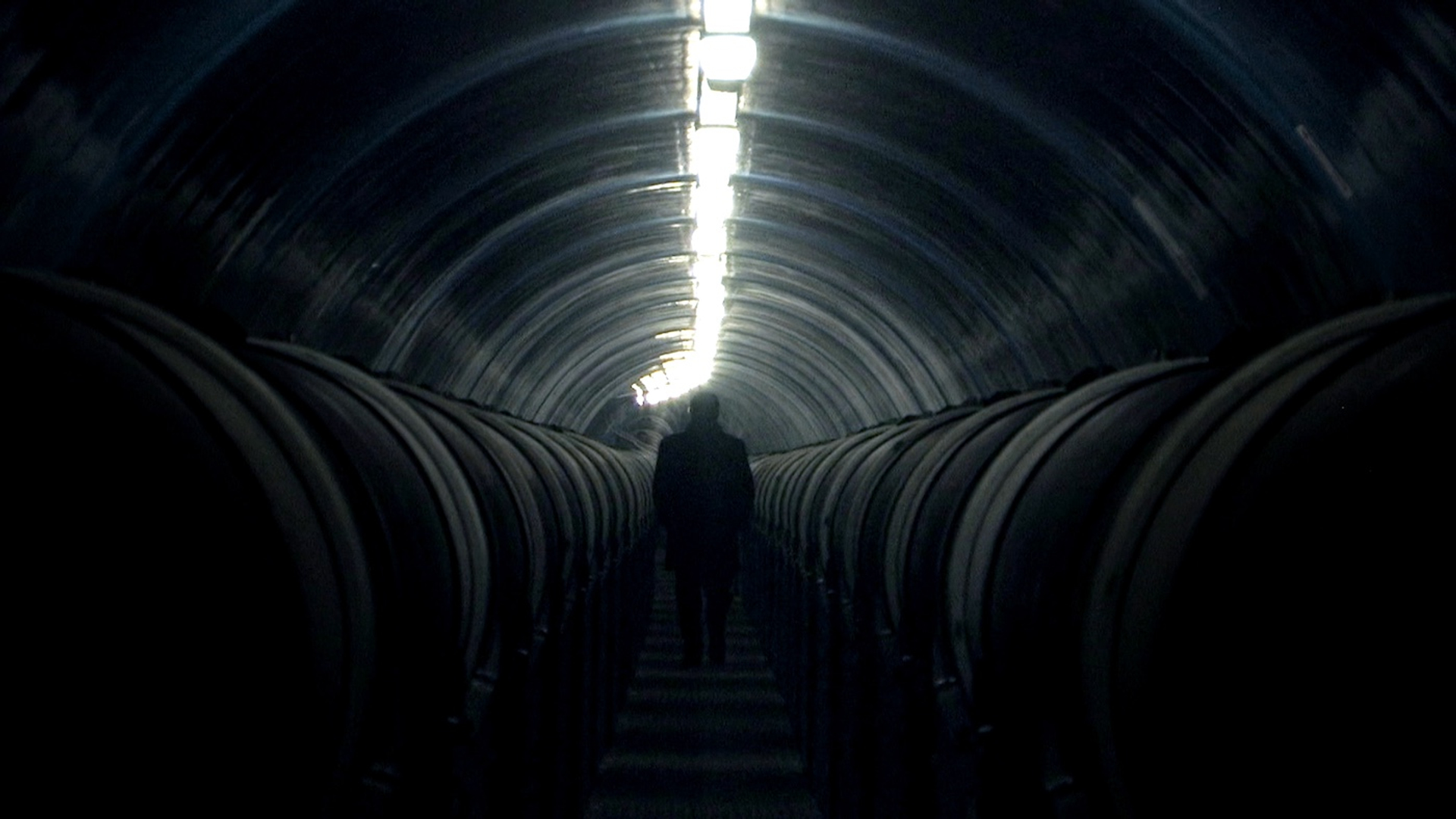 fotos_tunel_-_Julia_Pelka-1724745259