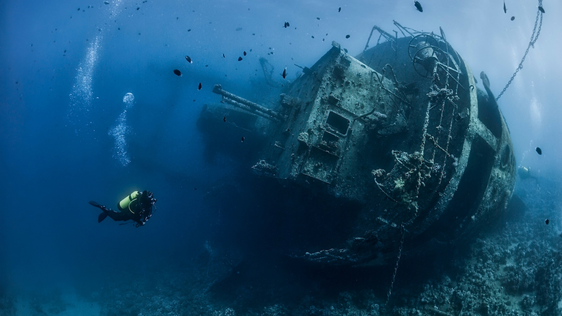 shutterstock_2156364515-1696000508