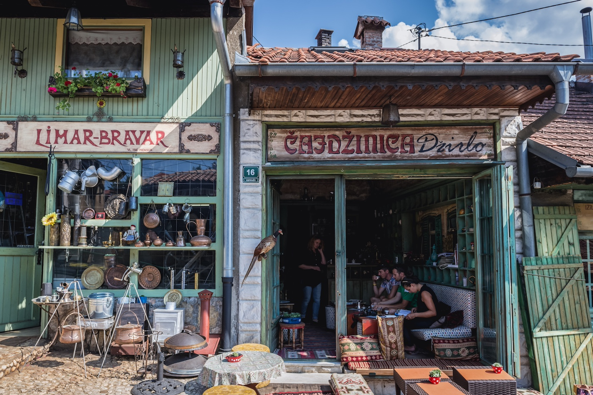 shutterstock_2456645481-1727873674