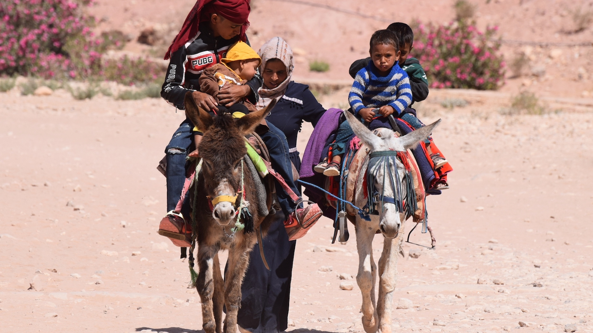 shutterstock_2156998361-1689152879