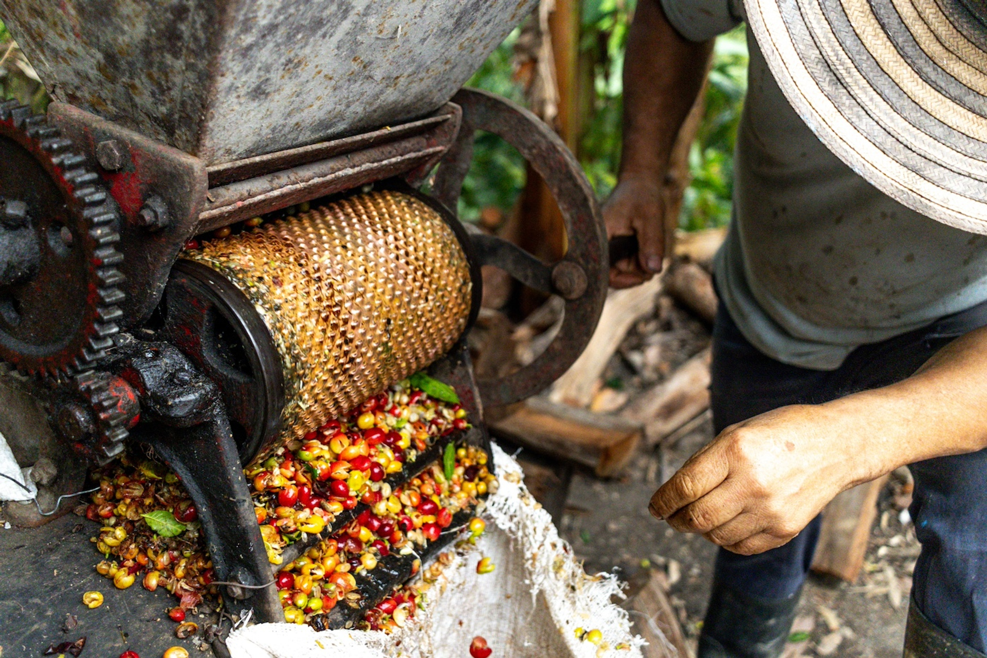 shutterstock_2505264381-1727710797