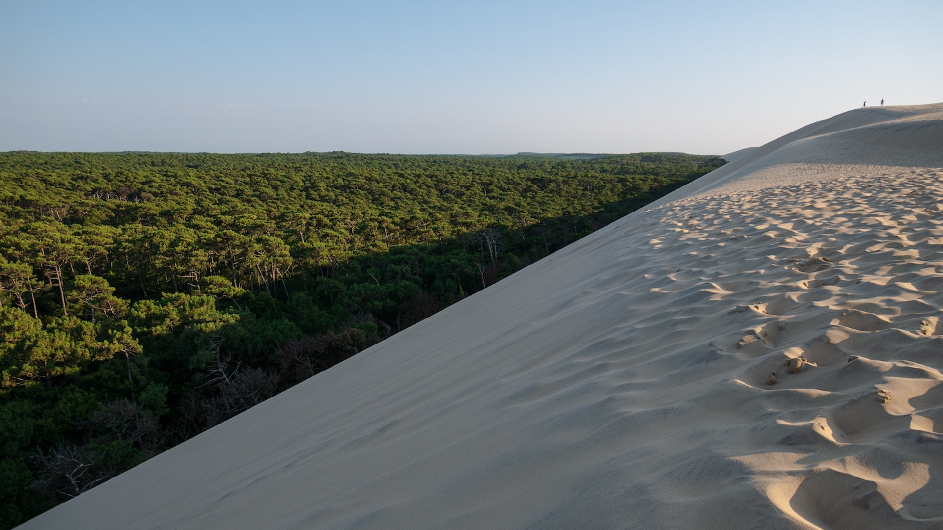 Alex_Alferez-1631869366