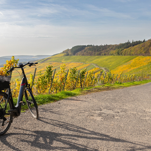 Een van de mooiste wijnlandschappen van Europa vind je verrassend dichtbij