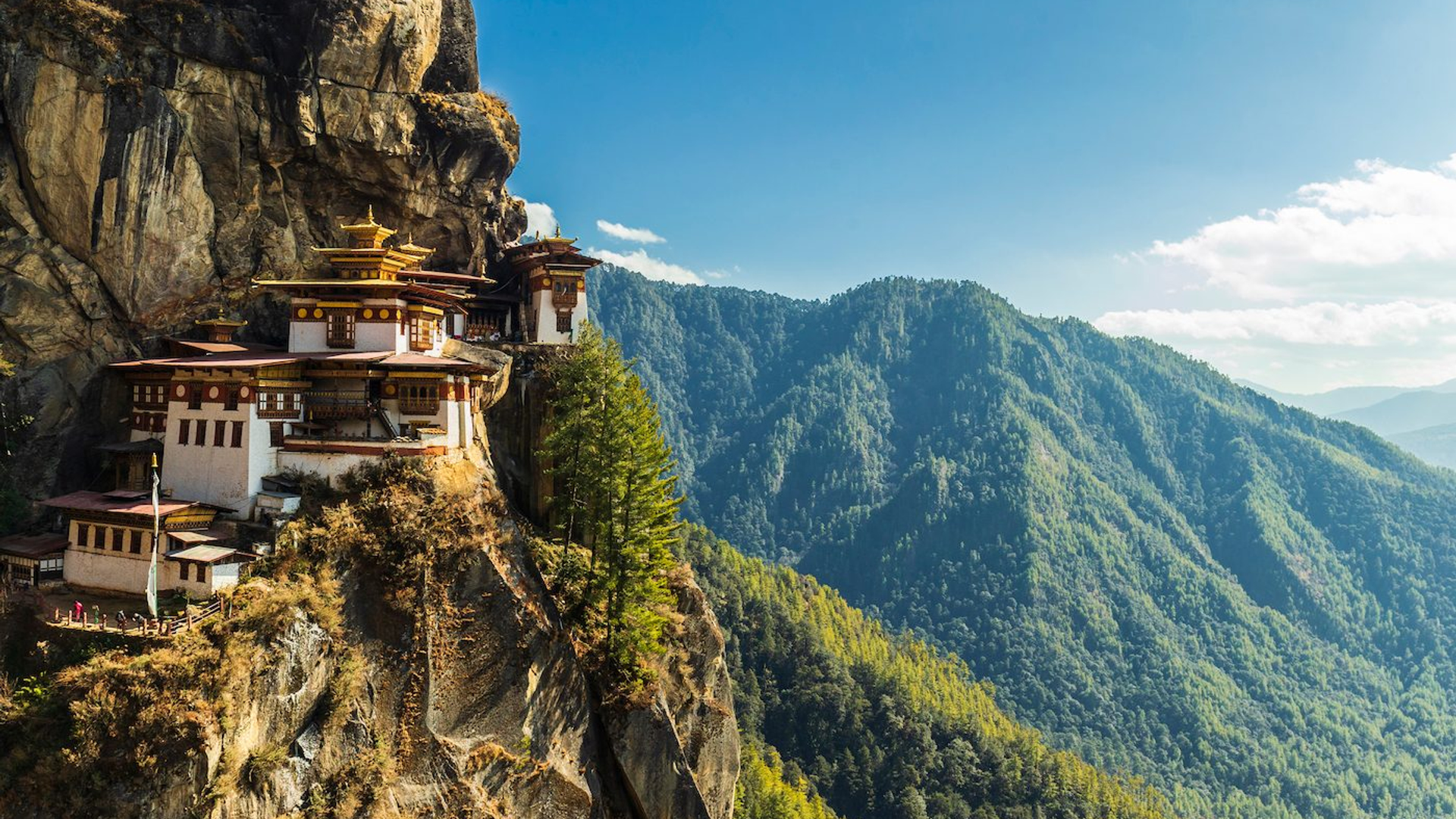 858ab56e-c2a7-4b9b-9339-8847497e2e6b-1605107601