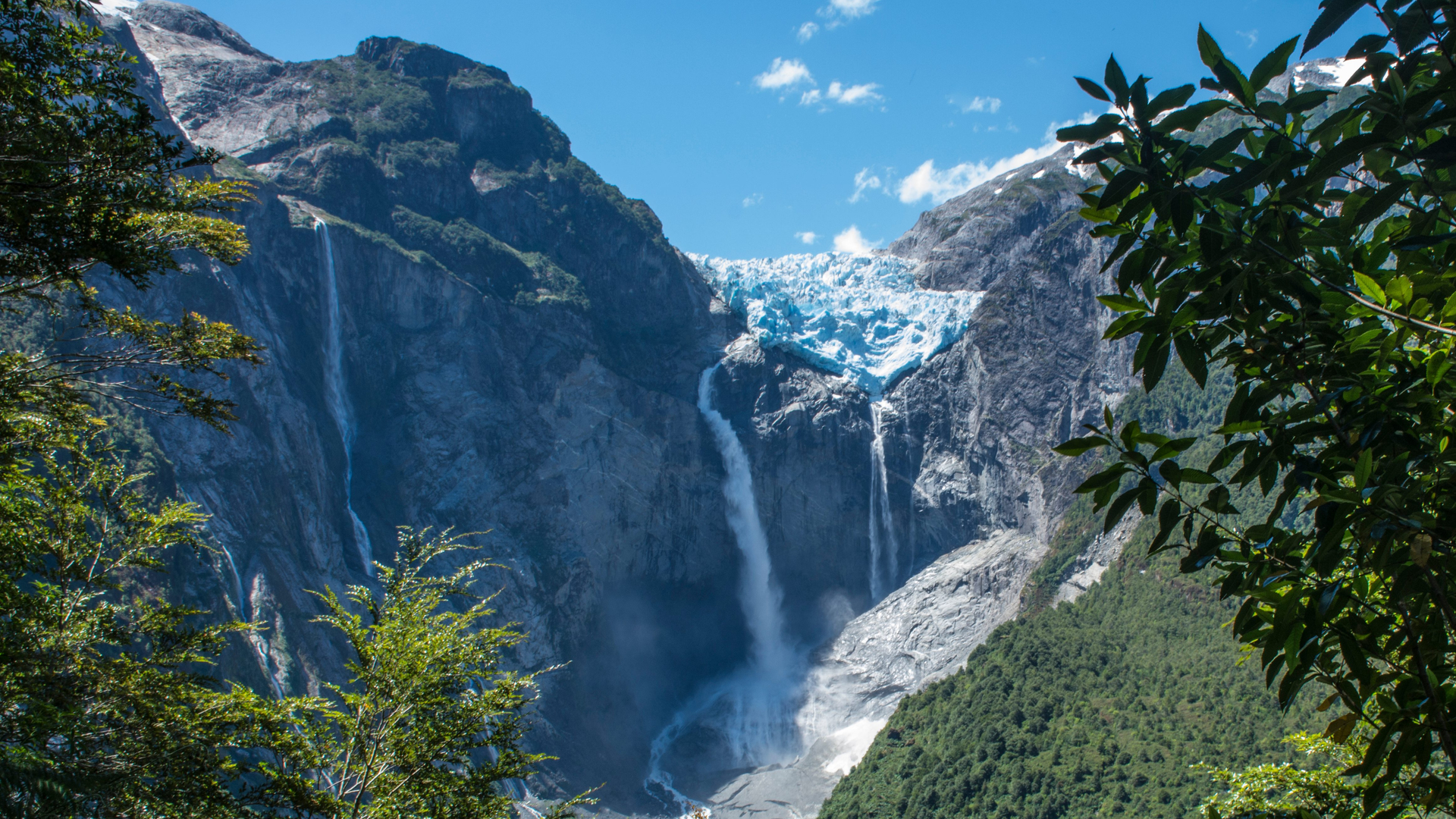 05f54993-85e0-4a40-9218-63bb6fbd43ab-1605002251