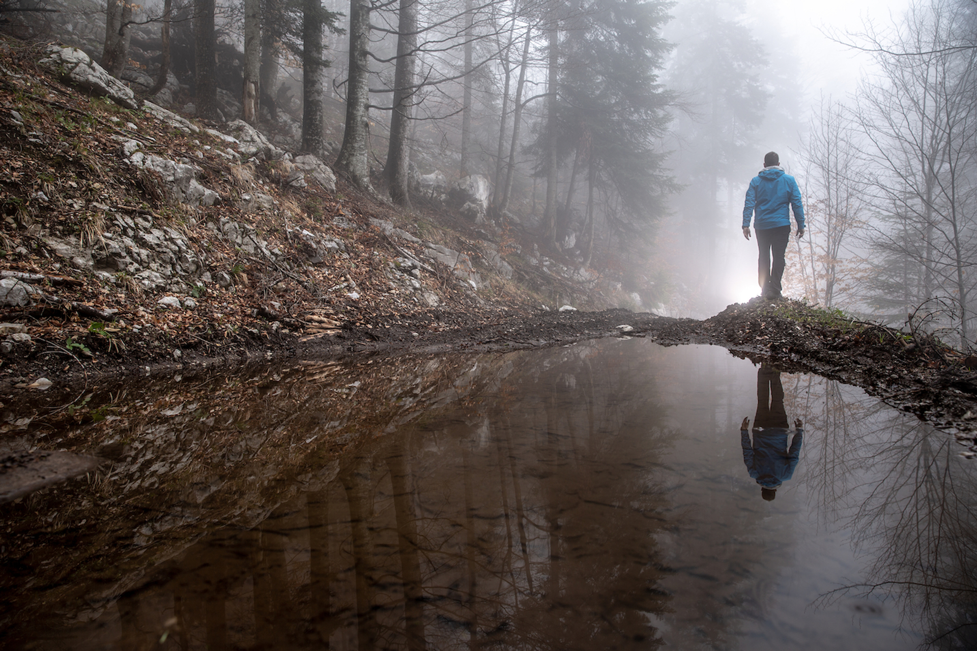 shutterstock_1369331813-1639646502