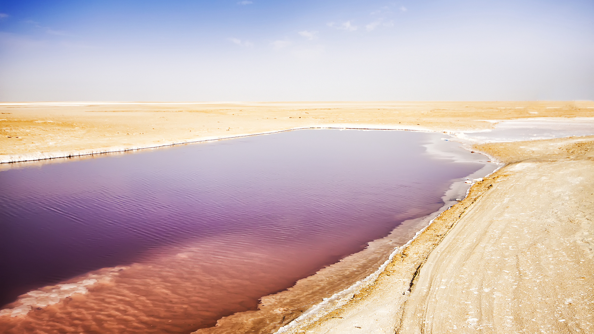 shutterstock_129867737-1652433390