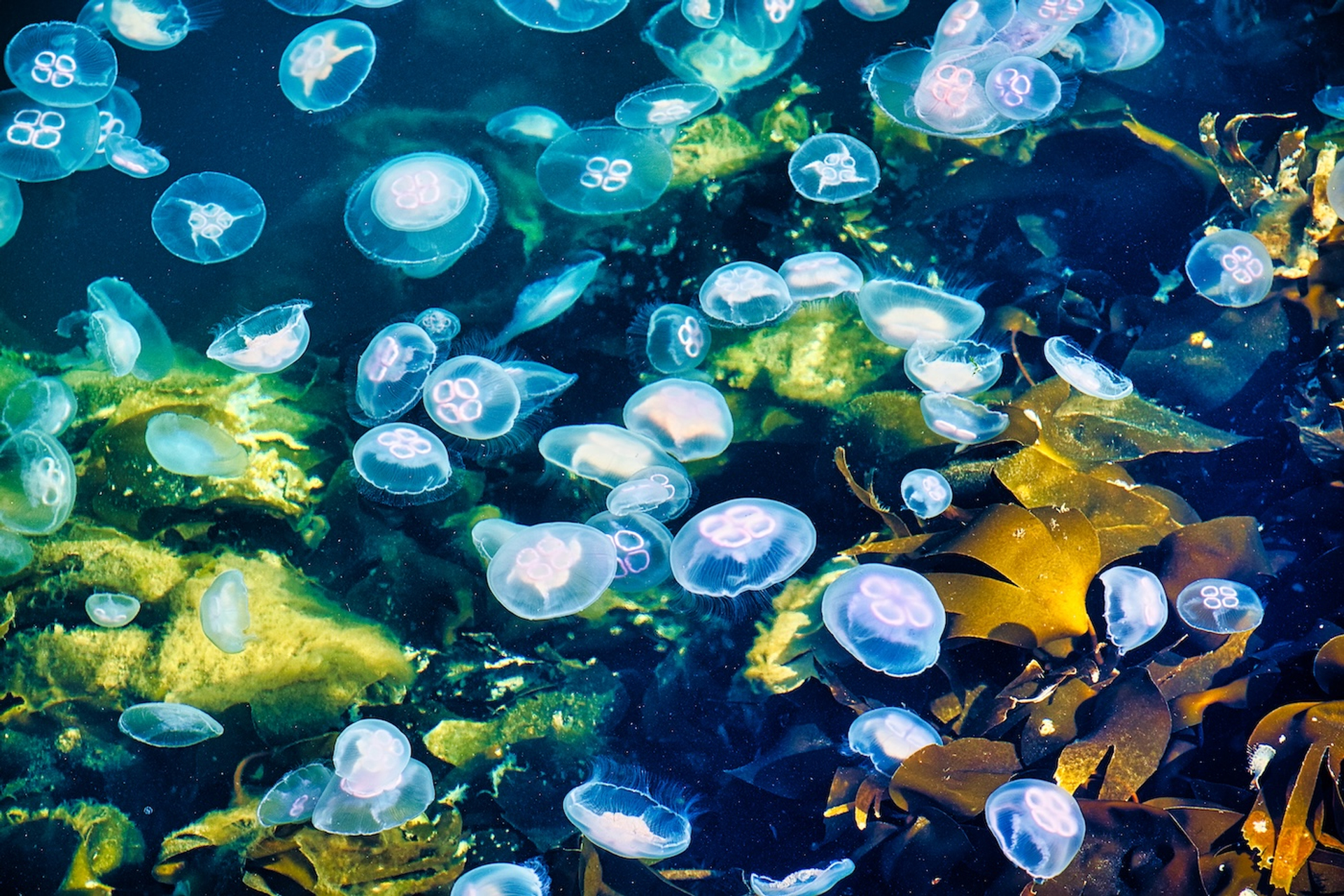 shutterstock_1571725957-1763031784