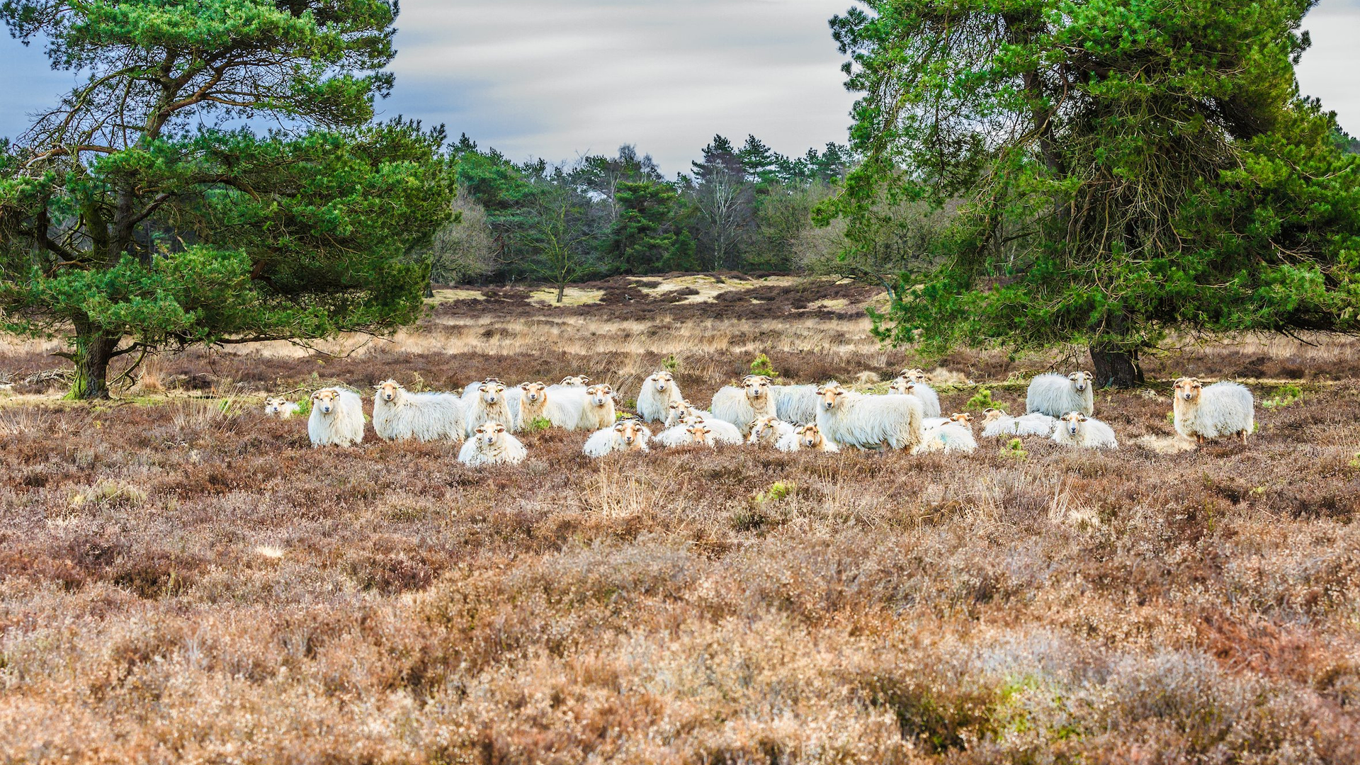 d9706bb3-2446-40c1-889a-36f8ed5772f9-1605105409