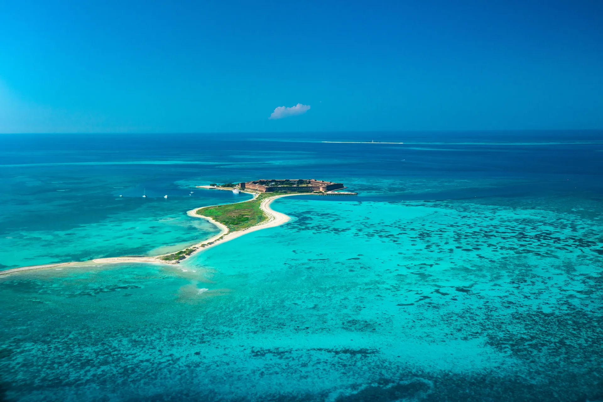 shutterstock_1307042143-1617025952