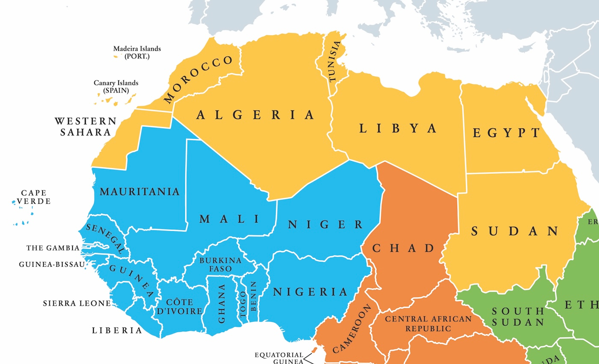 Canarische_Peter_Hermes_Furian-1750079507