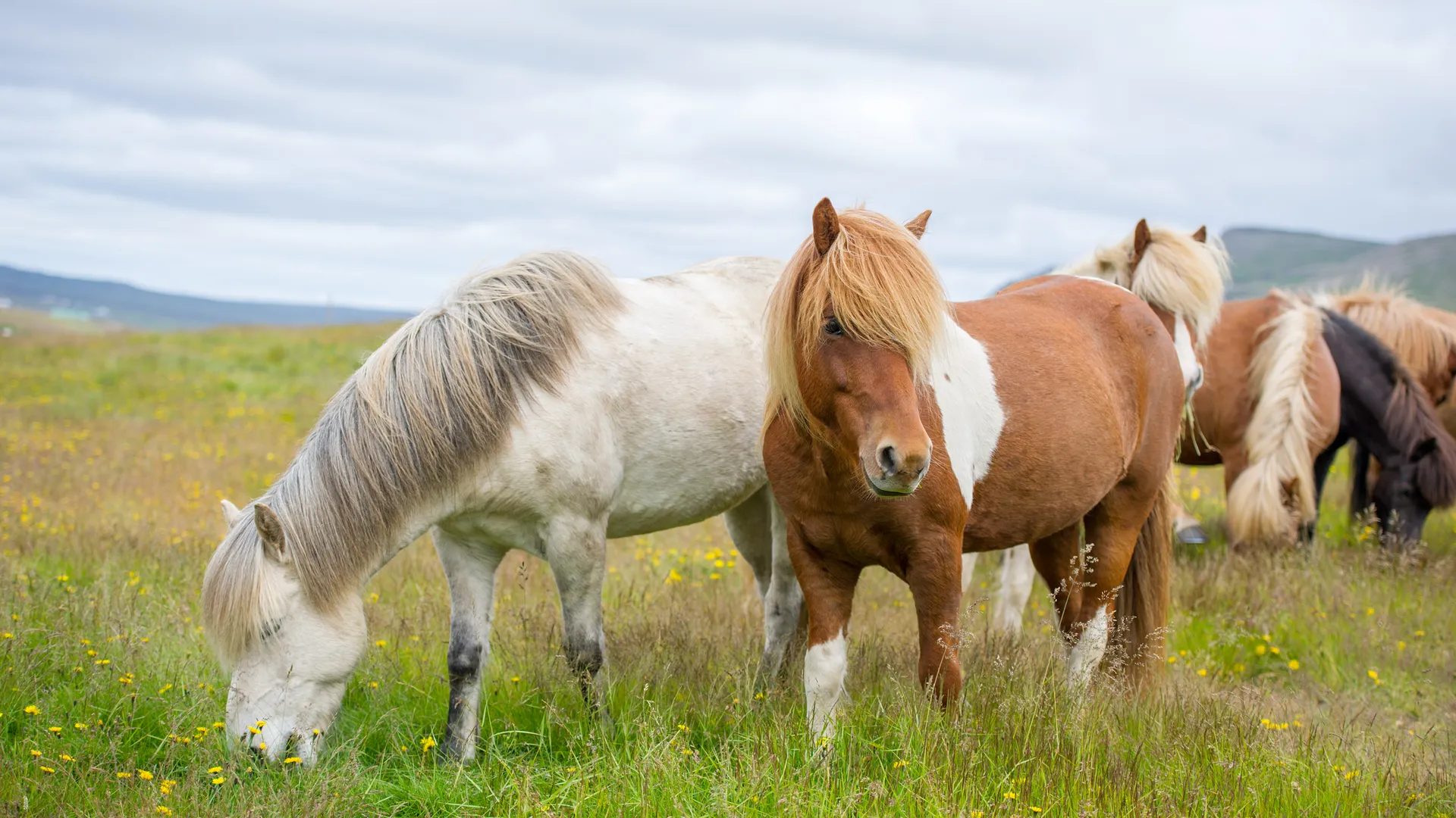 shutterstock_368043947-1673439205