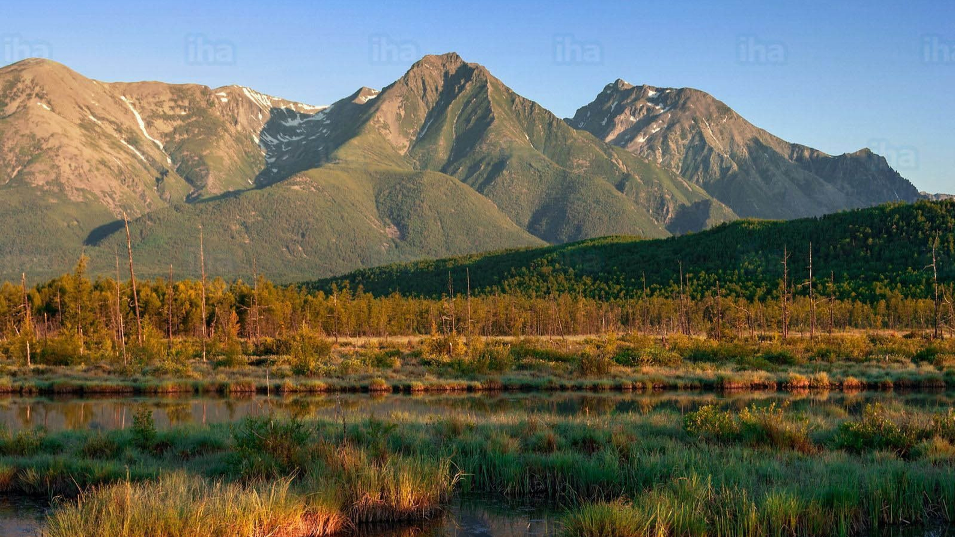 58b00bd6-4857-49cf-a671-05aa576b0ea0-1605104336