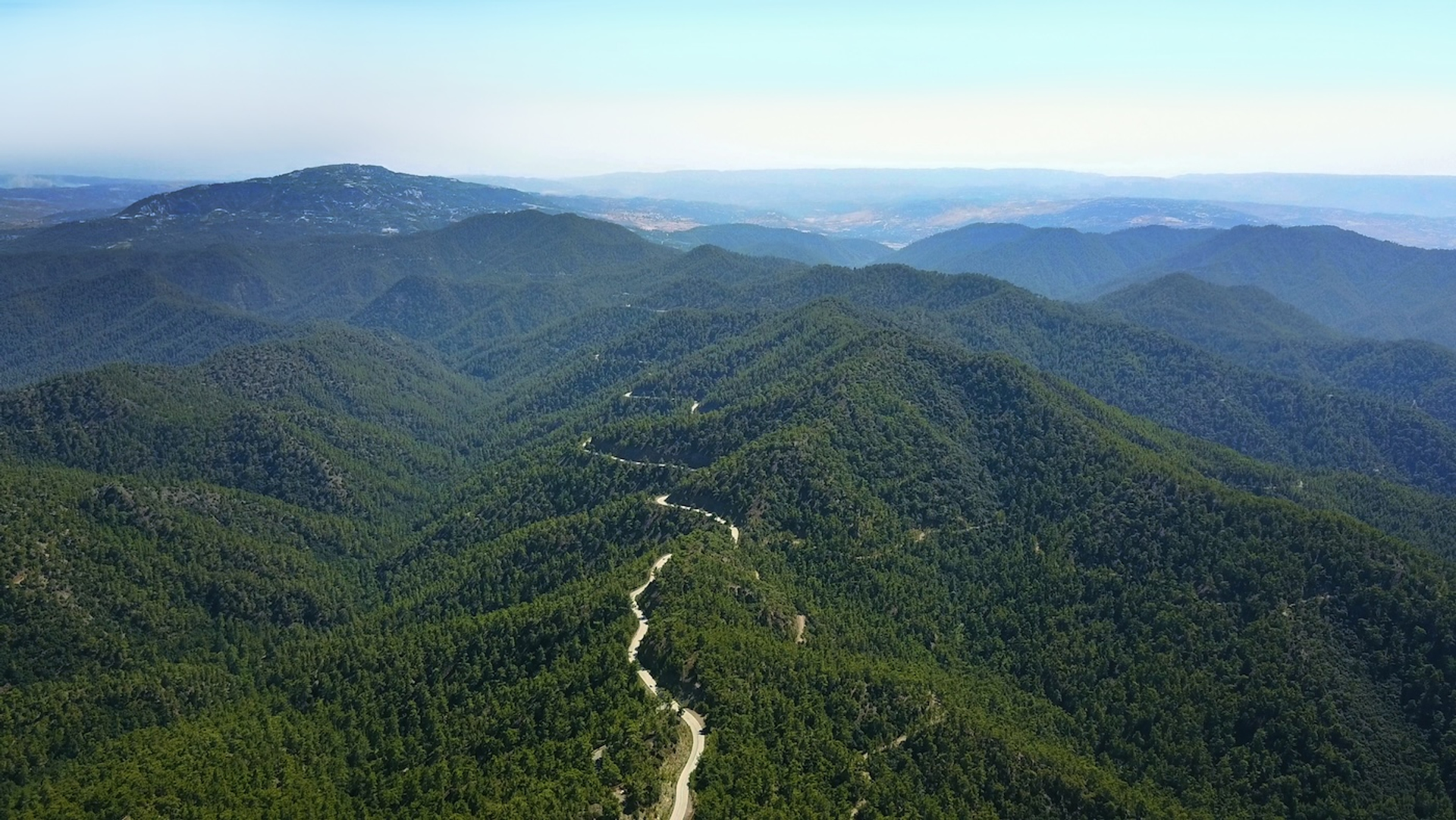 Kate_Koreneva-1742467059