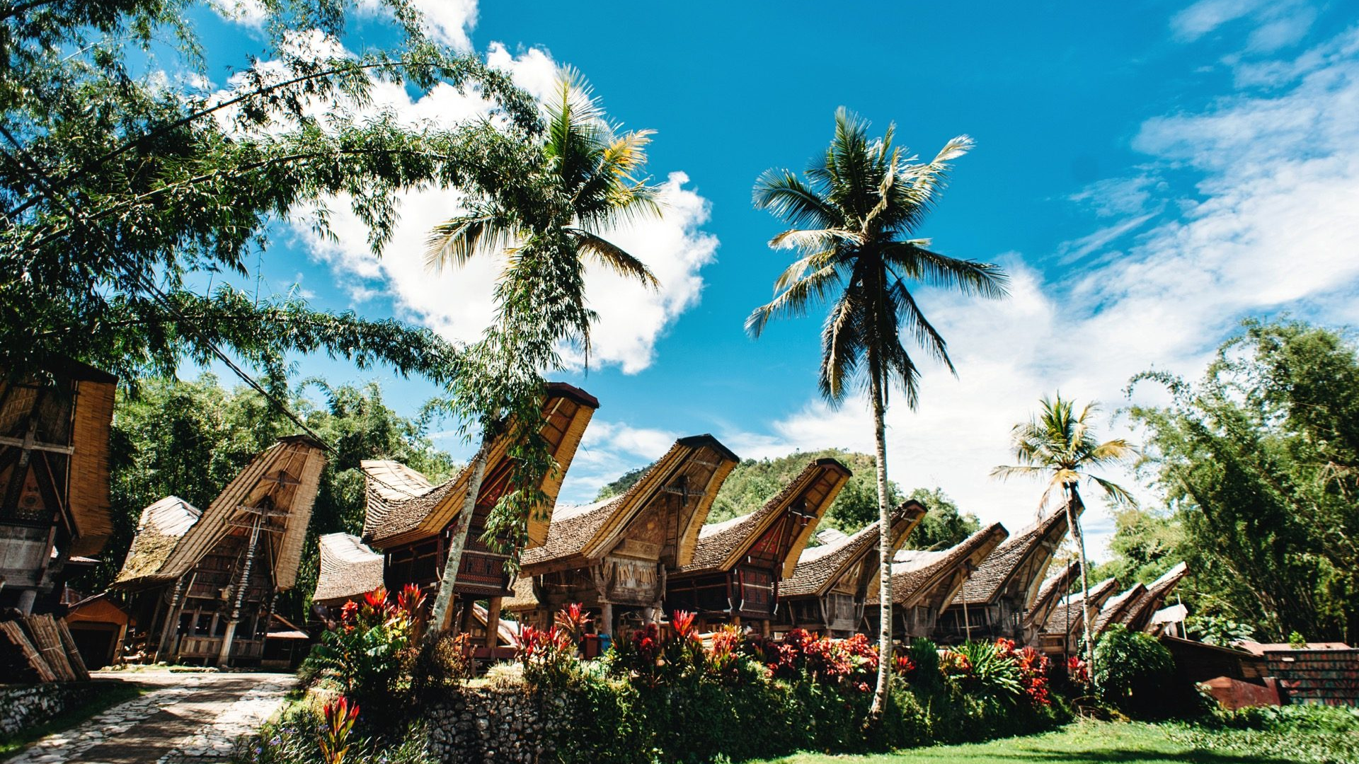 25316950-dbd8-4d1f-8811-a0cb3a3a5f3a-1605101808