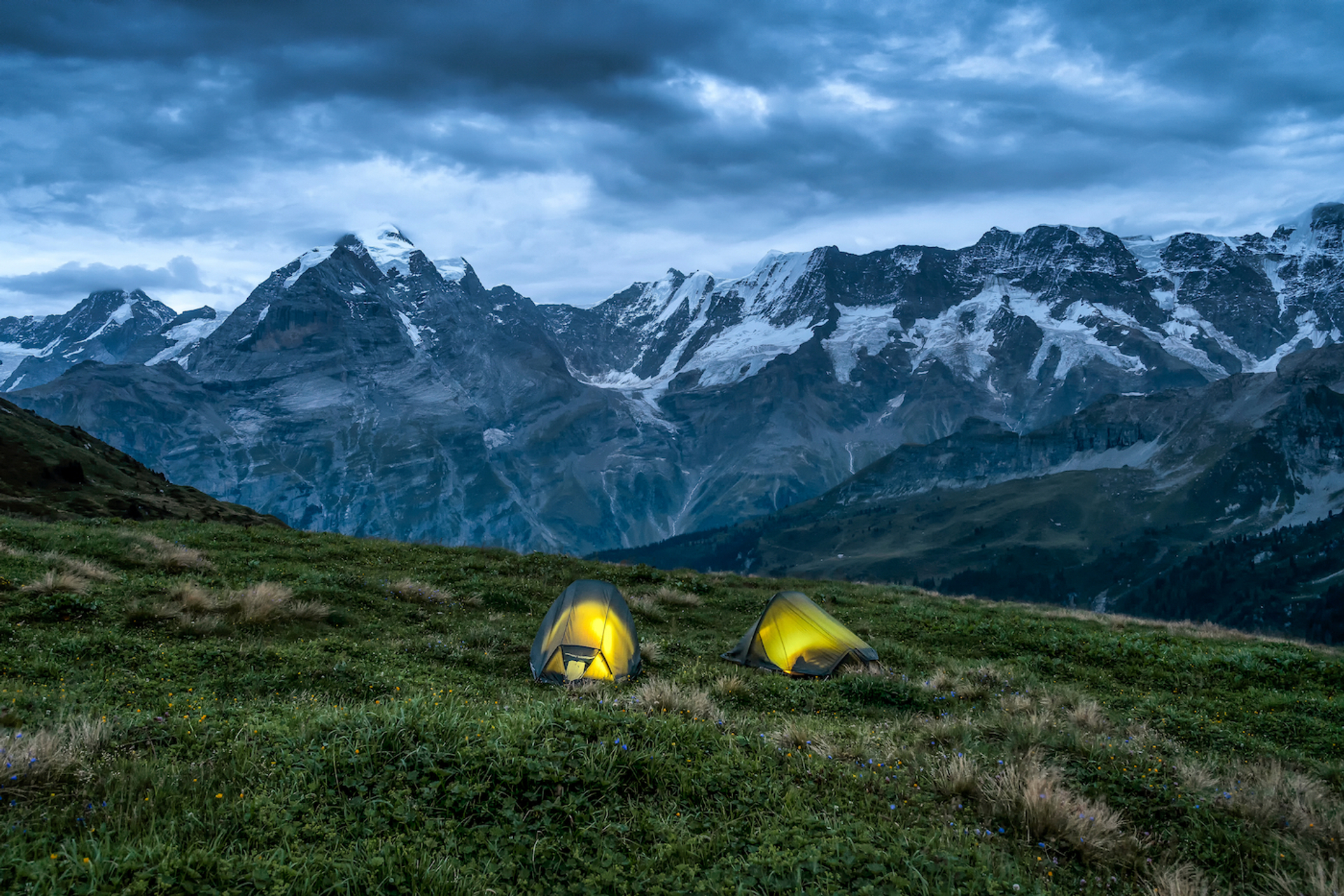 shutterstock_1935212465-1619014487