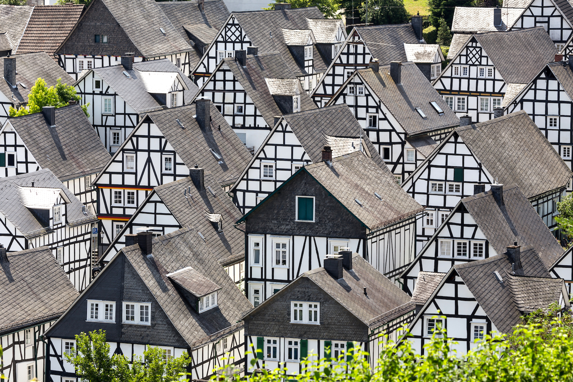 shutterstock_1143418037-1654604013