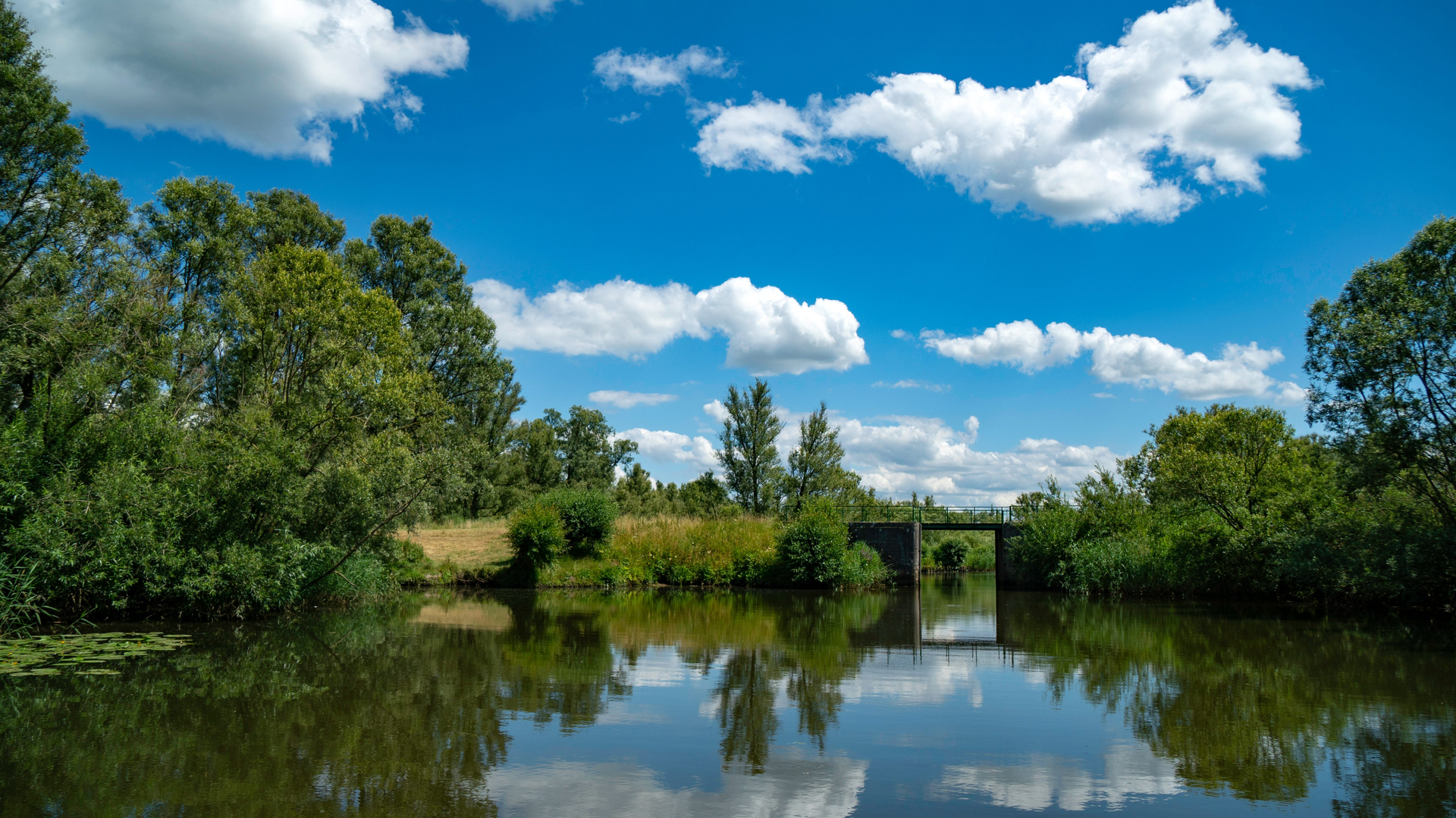 052f6e50-6f50-48fb-9b84-4eba3aa63114-1605001996