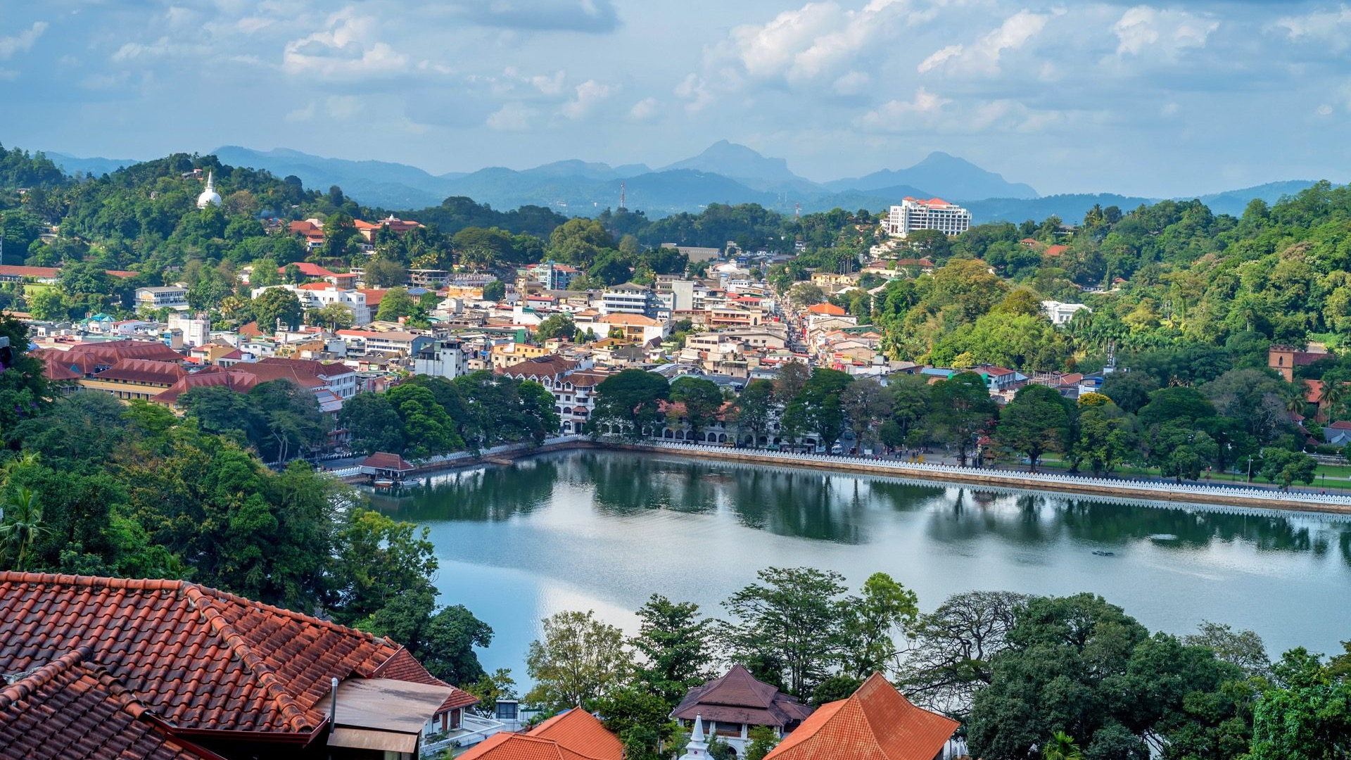 0df91004-2301-4b26-80fb-f651e61e8bd6-1605102378