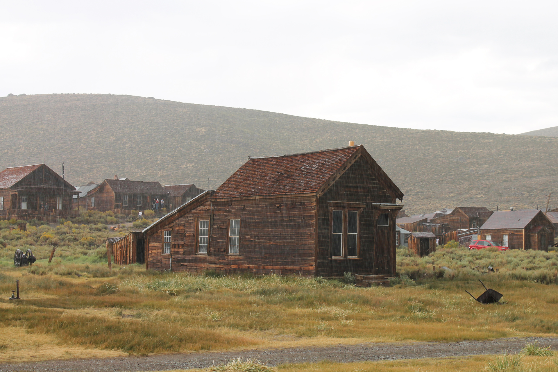 IMG_5350A1-1613749857