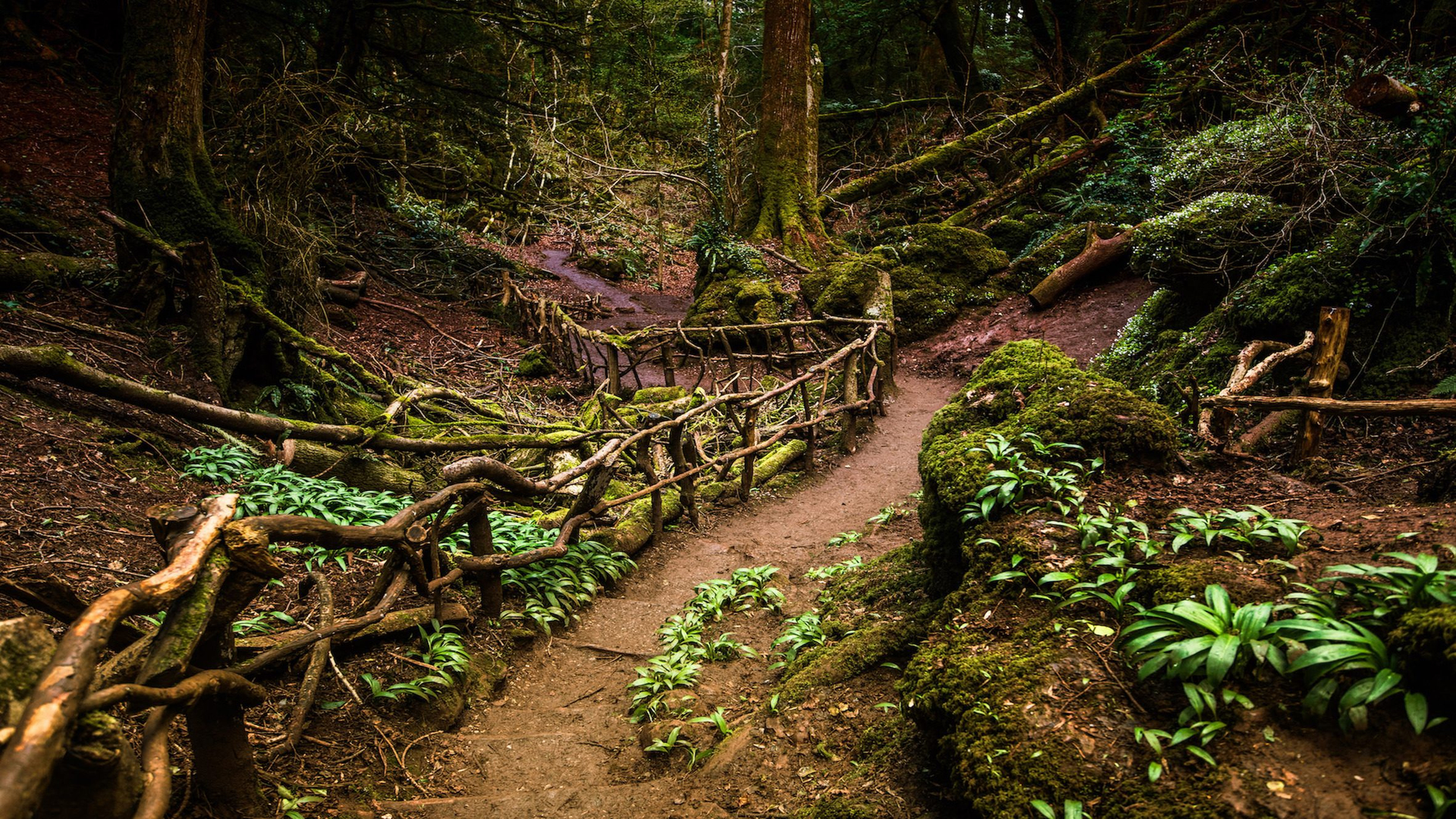 99aa910f-7c1a-4a0e-bac6-525dfb998a37-1604945609