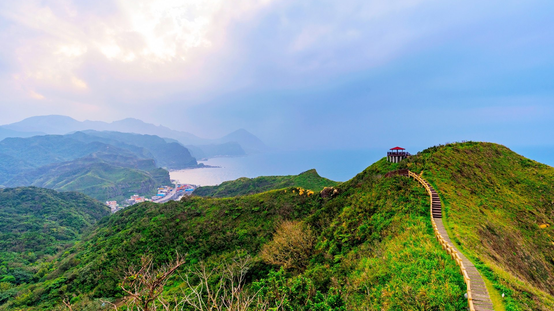 ff202d35-69ab-4cc9-b4f7-c39bed1694b1-1605102285