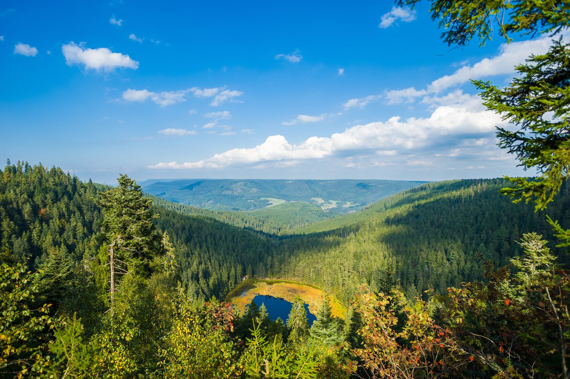 3f3b465c-189b-4f83-b7f9-80894dac0e74-1604941216