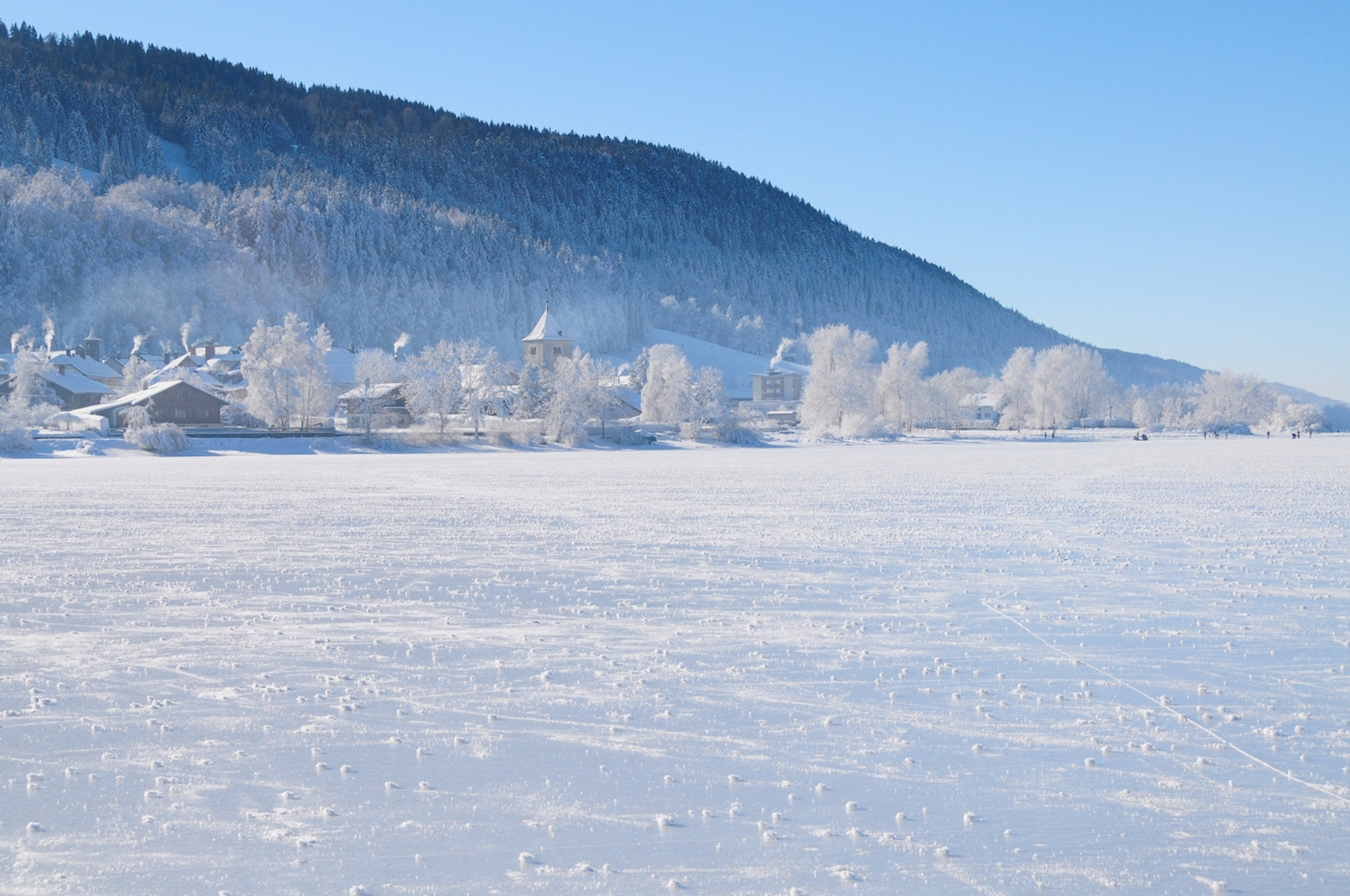 Richard_Cavalleri_kopie-1640249590