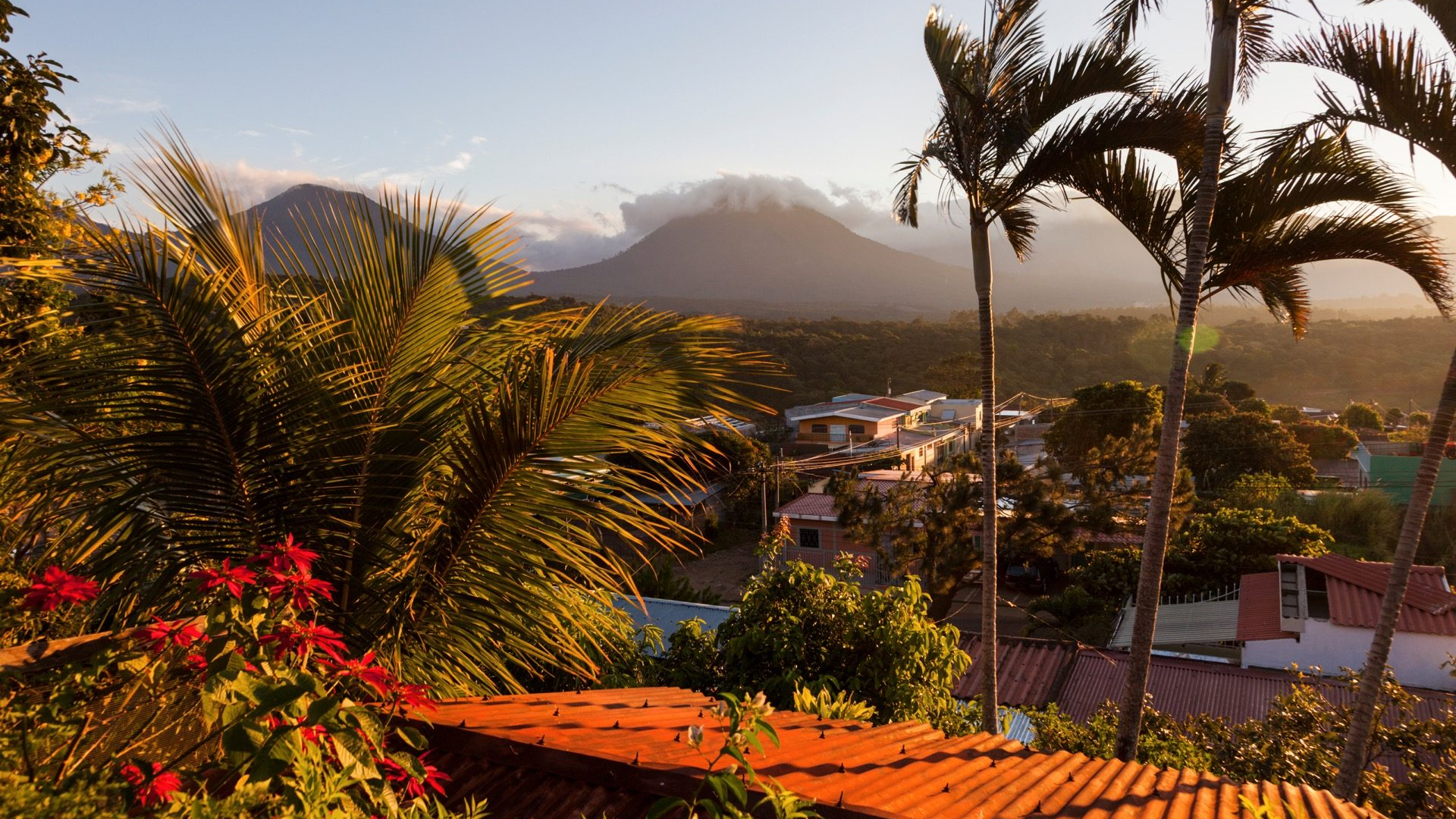 52a1a818-e052-4895-8626-78f04d3764e6-1605101959