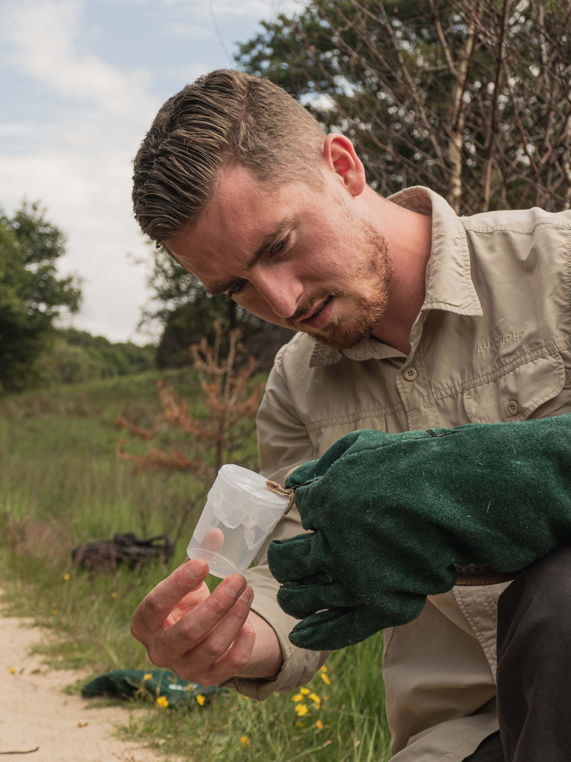 Melken_van_een_adder_copyright_Joey_Markx-1655383072