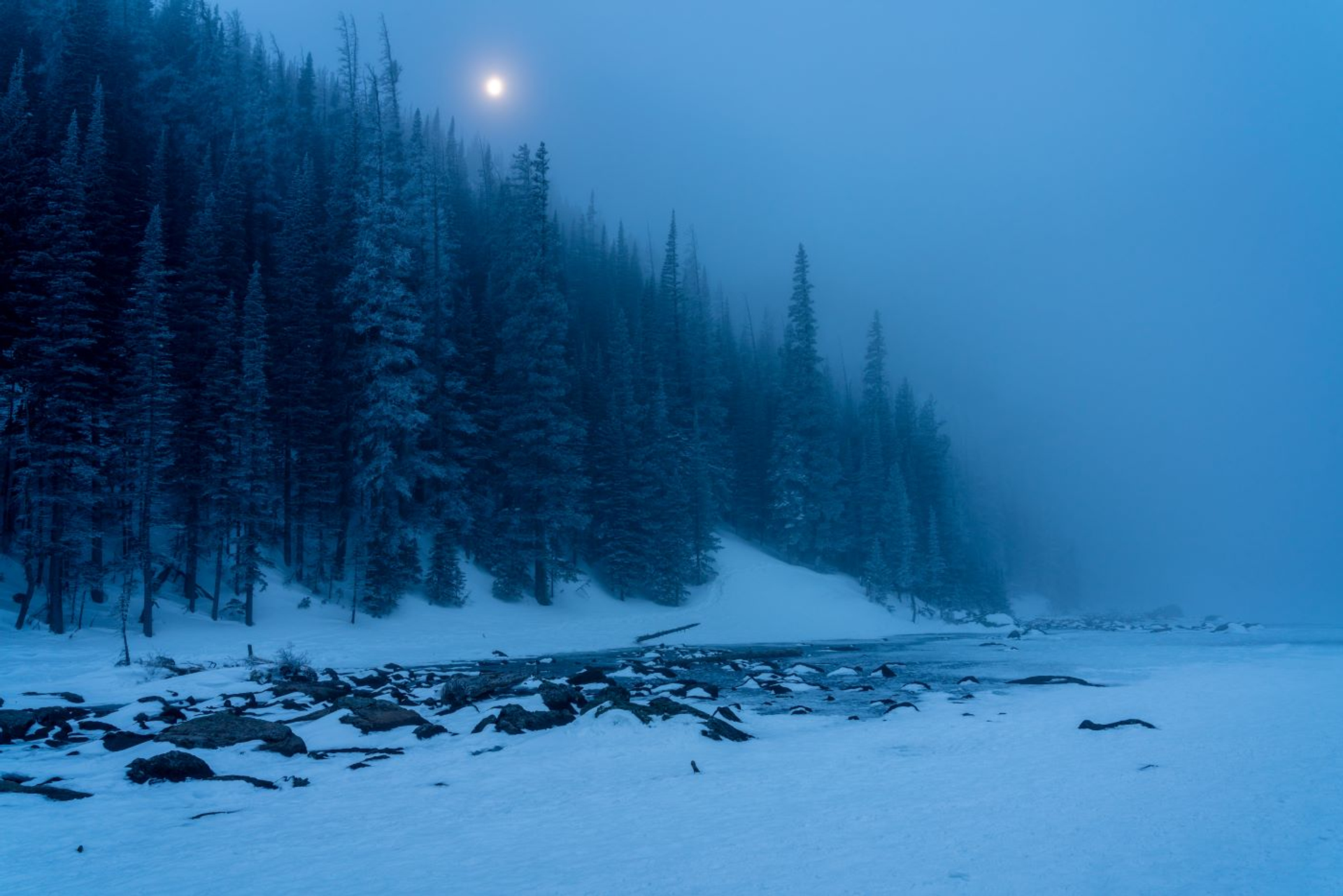 Brian_Wolski-1698679760