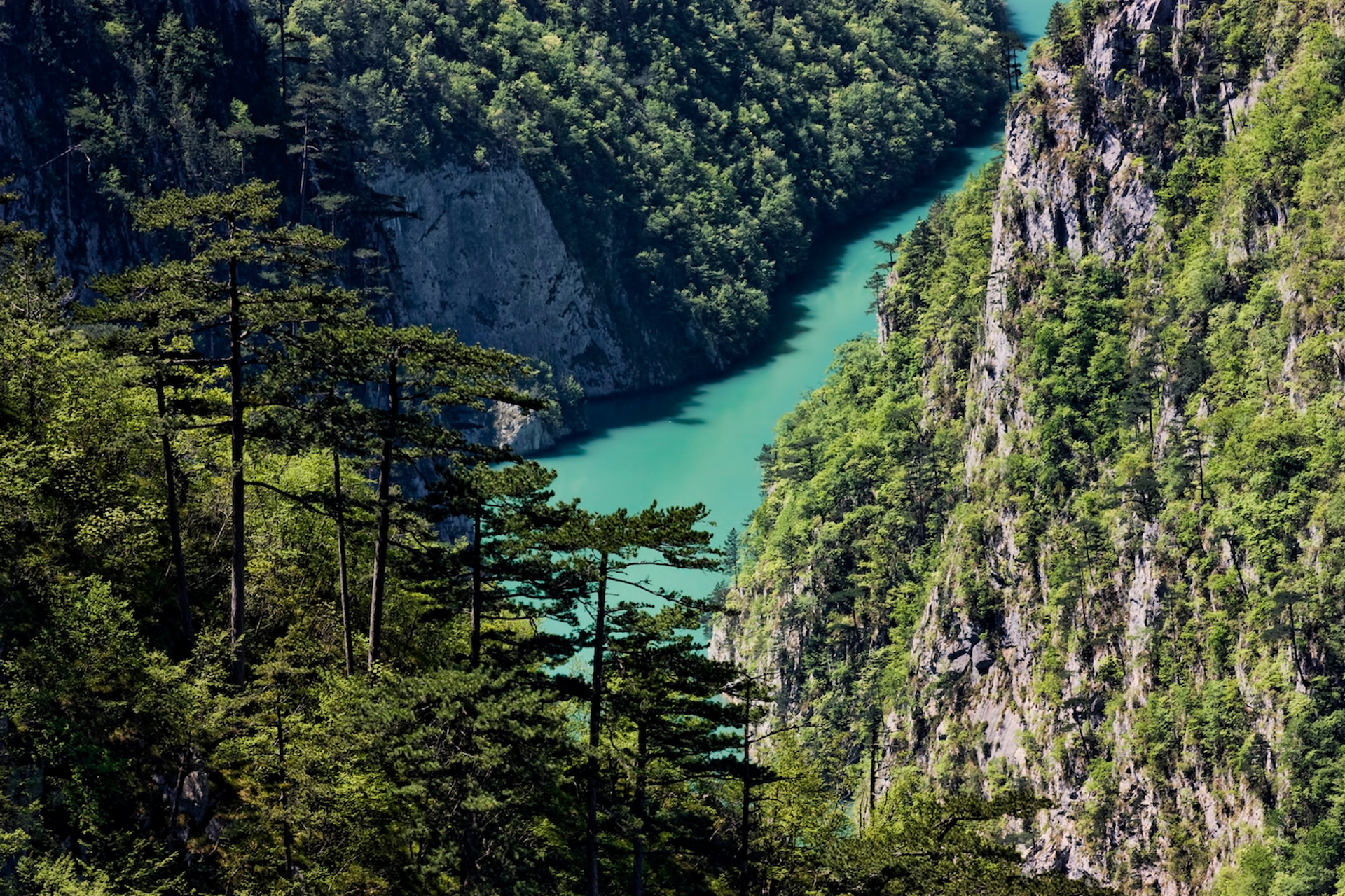 ZoranKrstic-1631805504