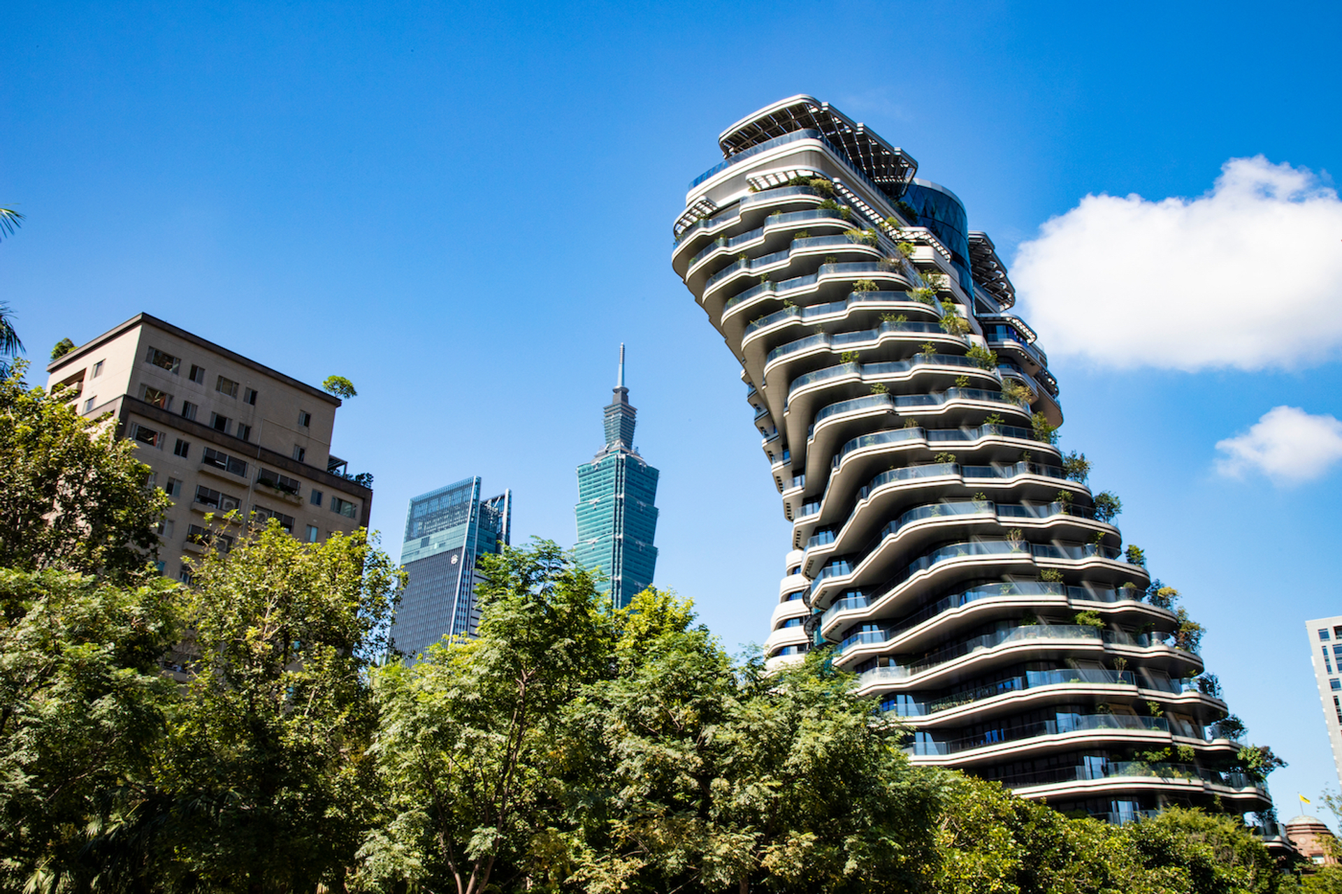 VerticaalBos6-1624611692