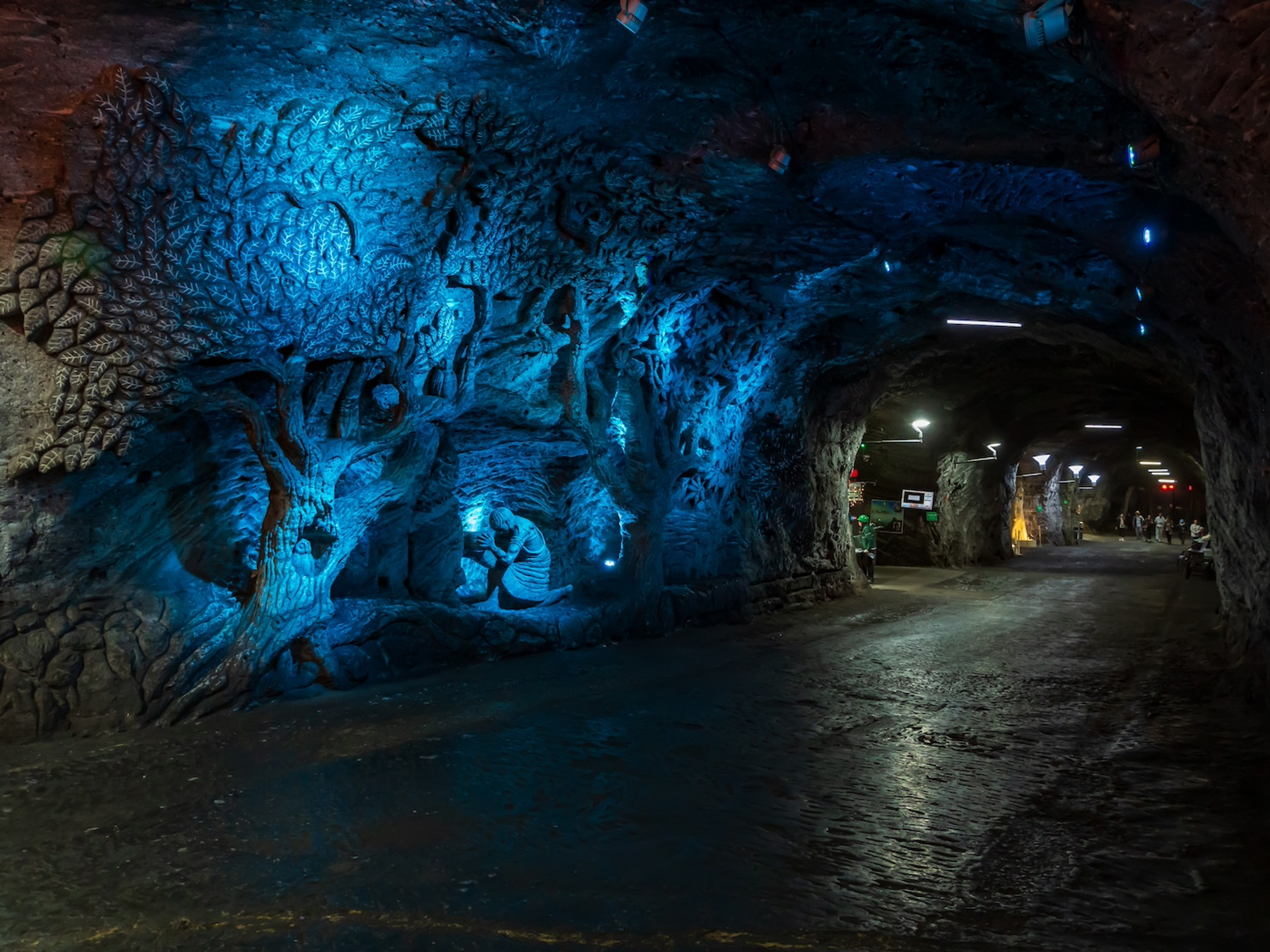 Nowaczyk_-1719406613