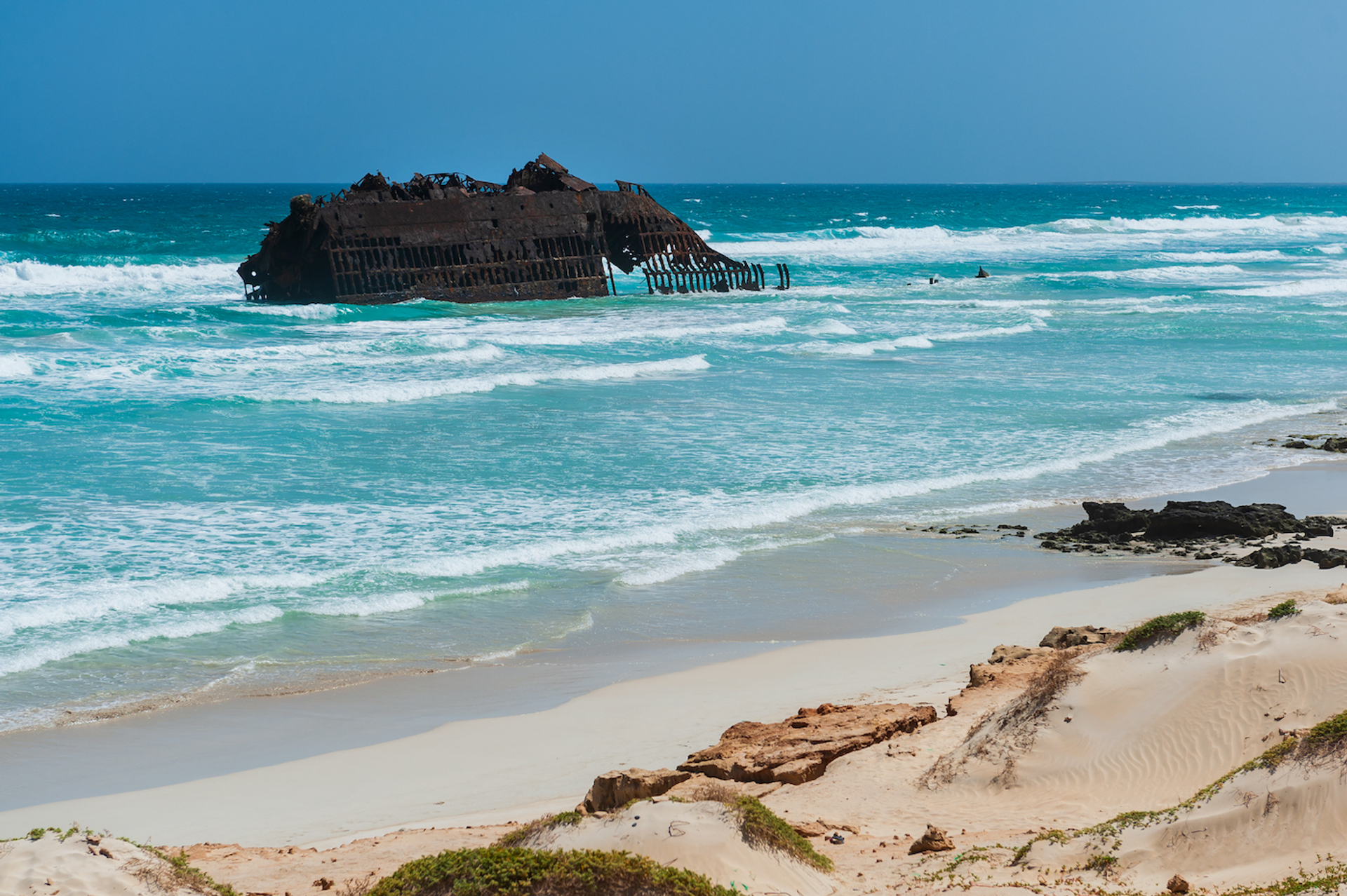 shutterstock_1659317917-1707308115