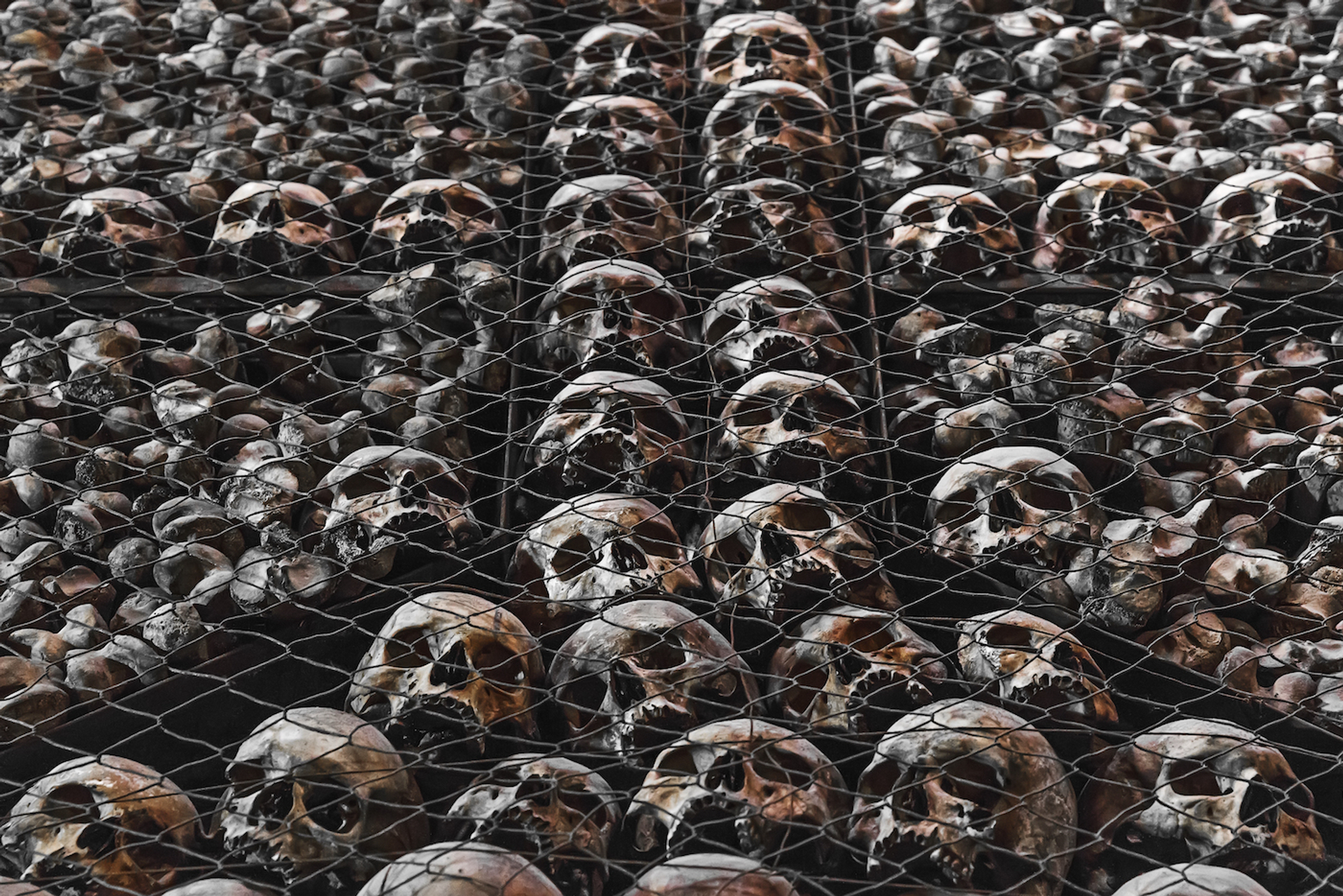 shutterstock_746858398-1692097880