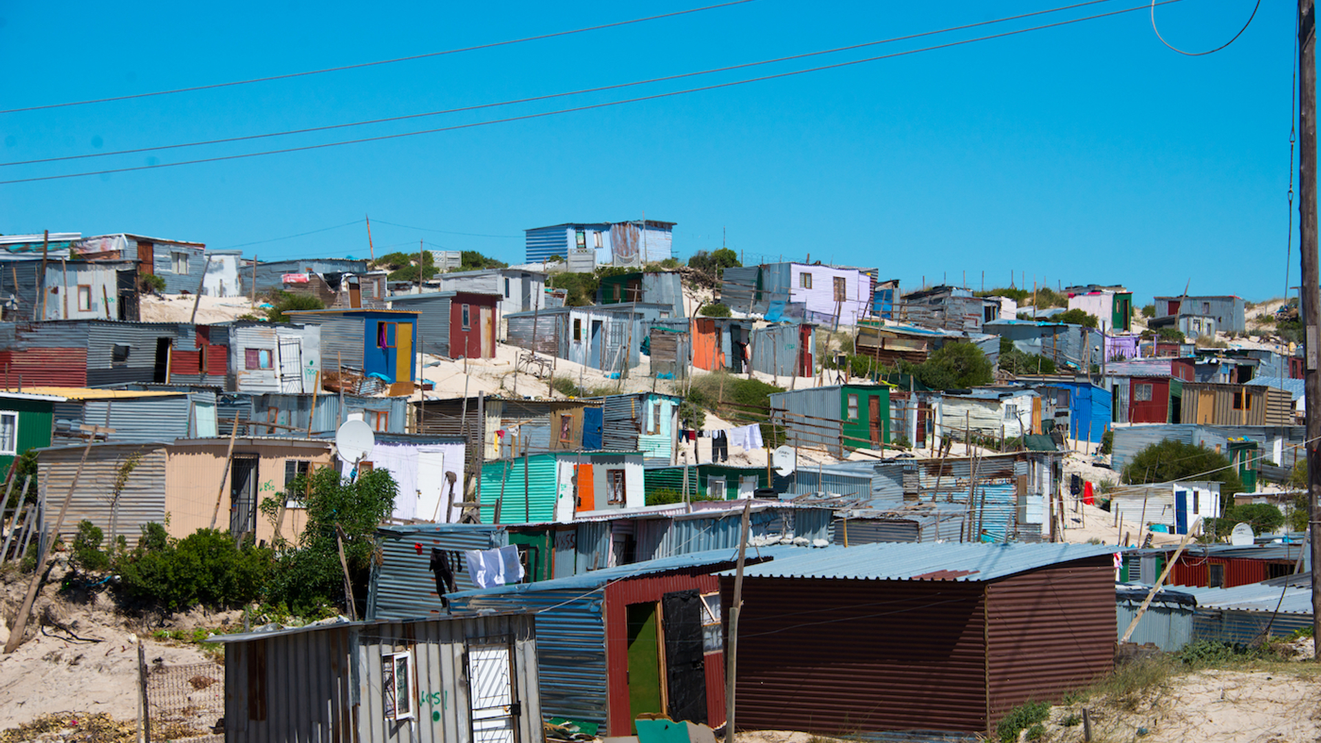 Nikolai_Link___Shutterstock.com-1679068104