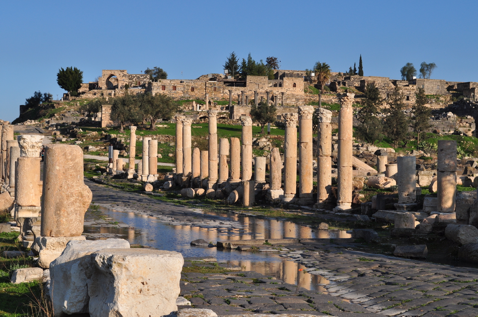 Ahmad_A_Atwah-1644506298