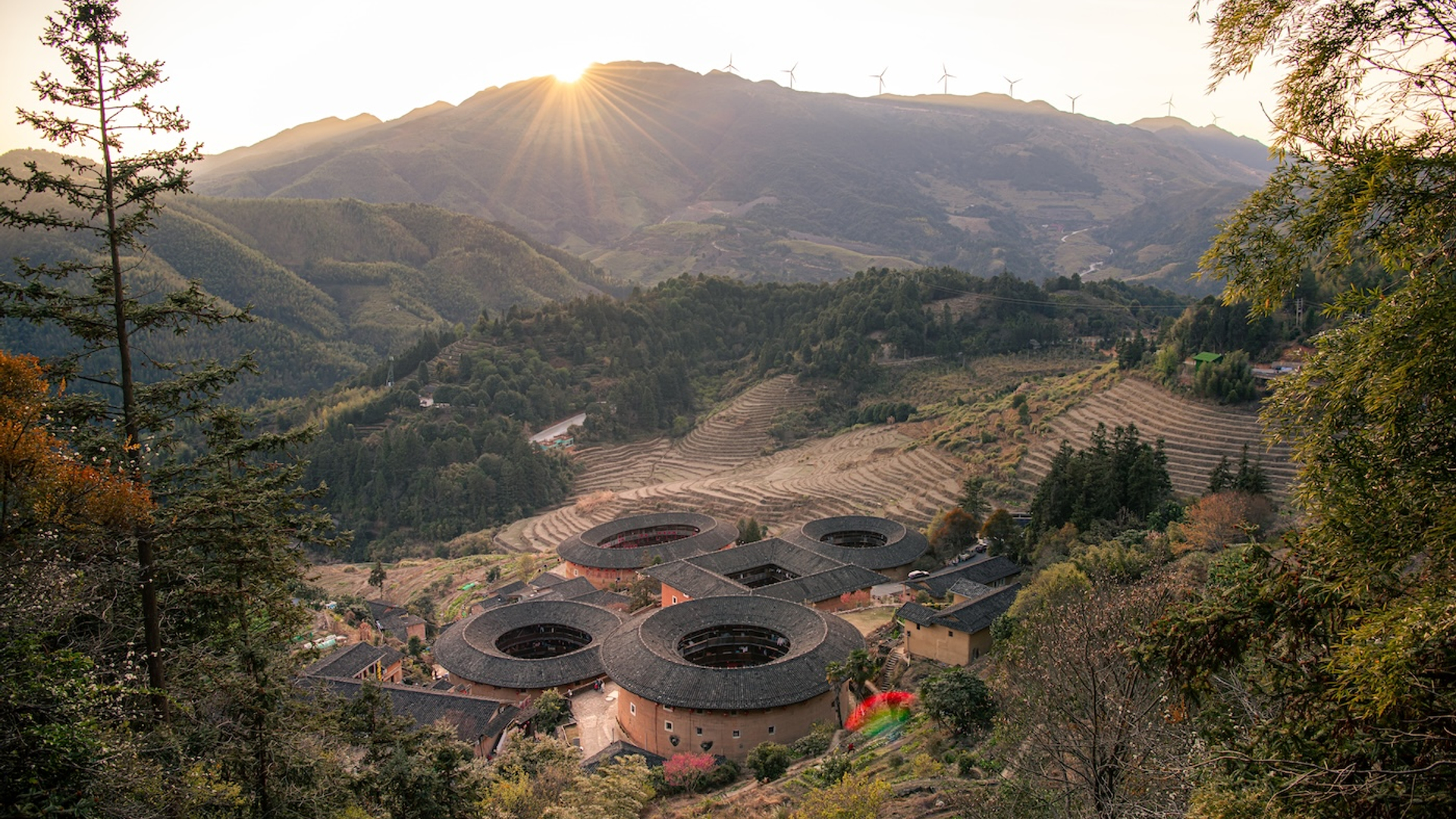 shutterstock_2384430611-1736254169