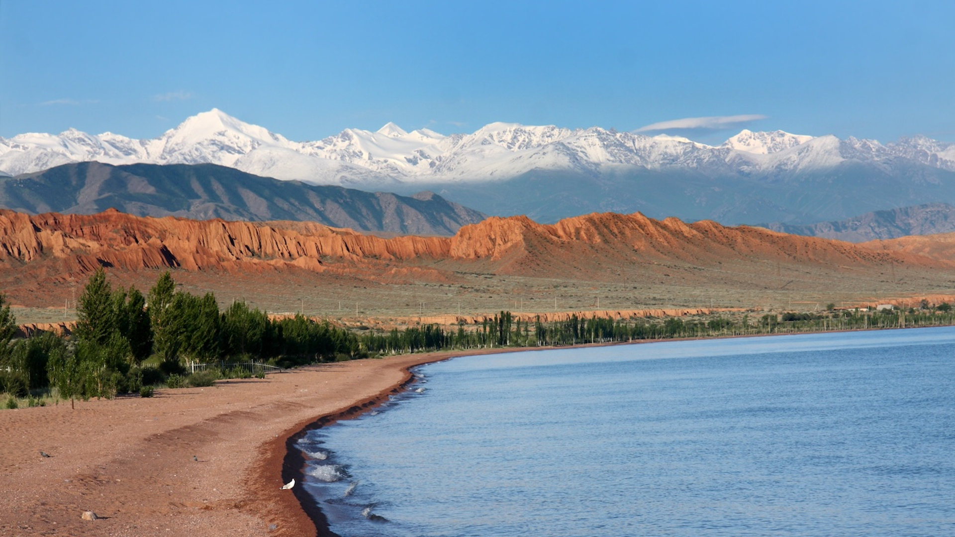 shutterstock_107796170-1733506049