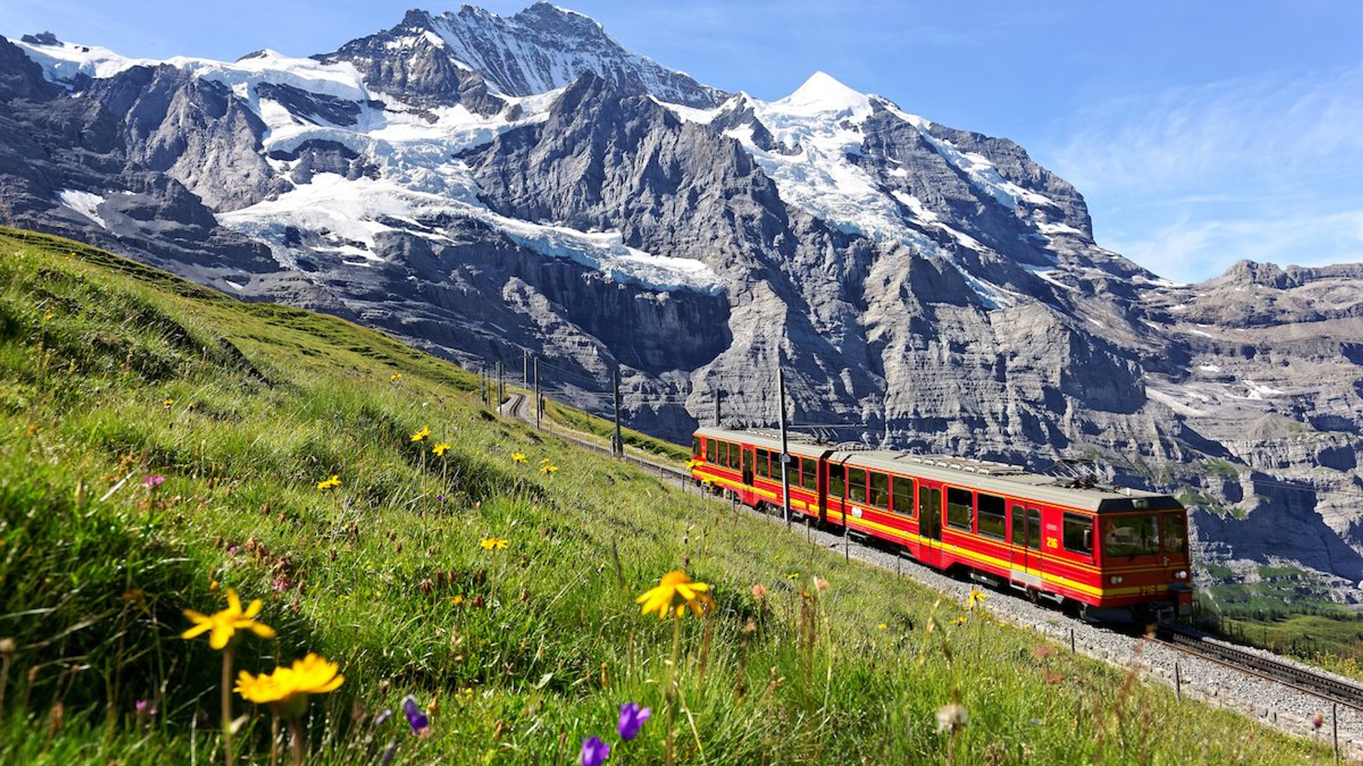 6425be1b-ea8d-4ae3-a1eb-c336abd997ad-1605105287