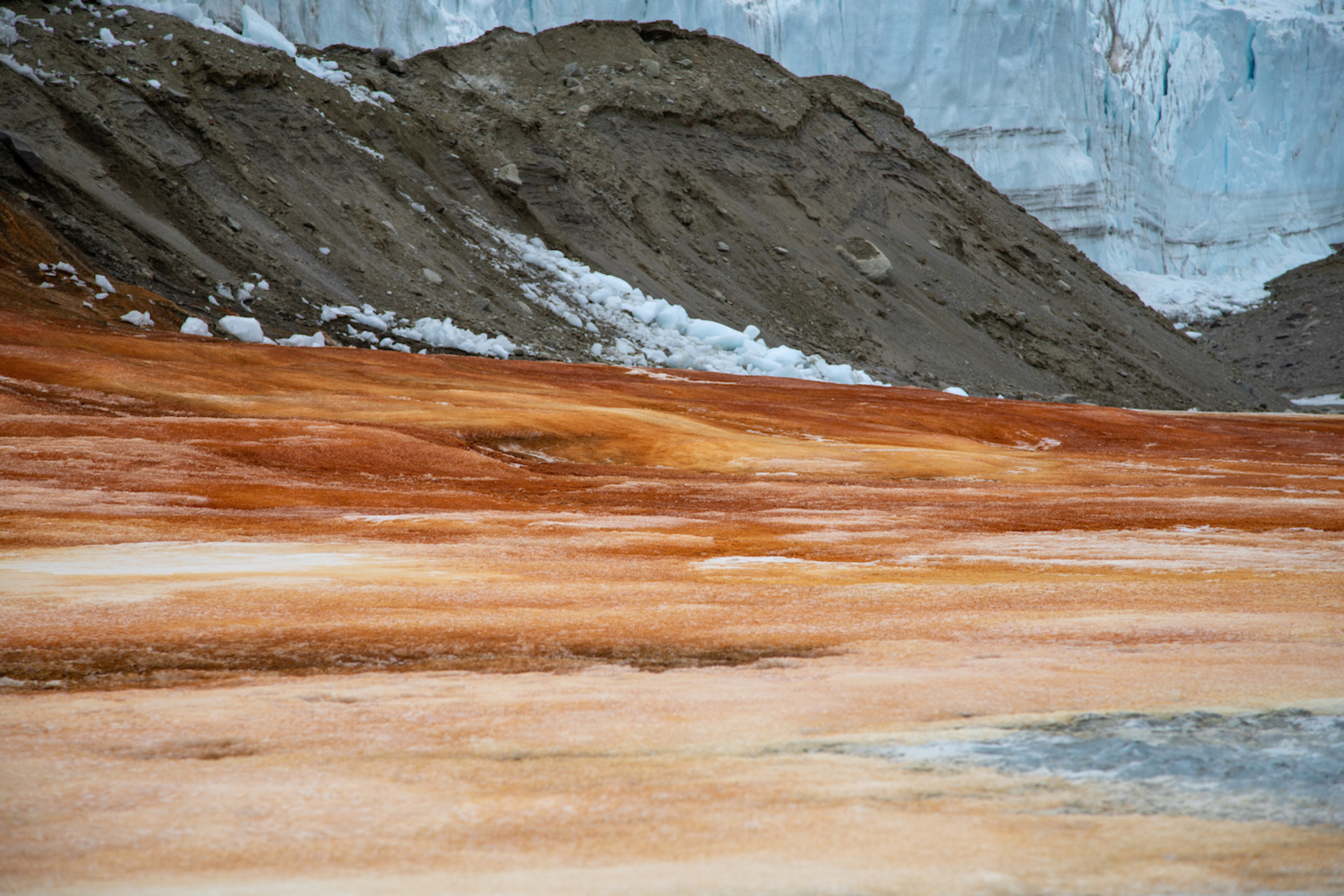 Ariel_Waldman_8_-_Flickr.com-1675158369