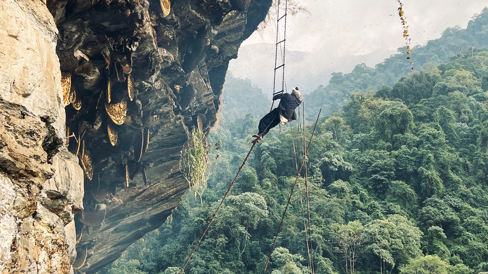 Aaditya_Chand_-_new_thumb-1675784527