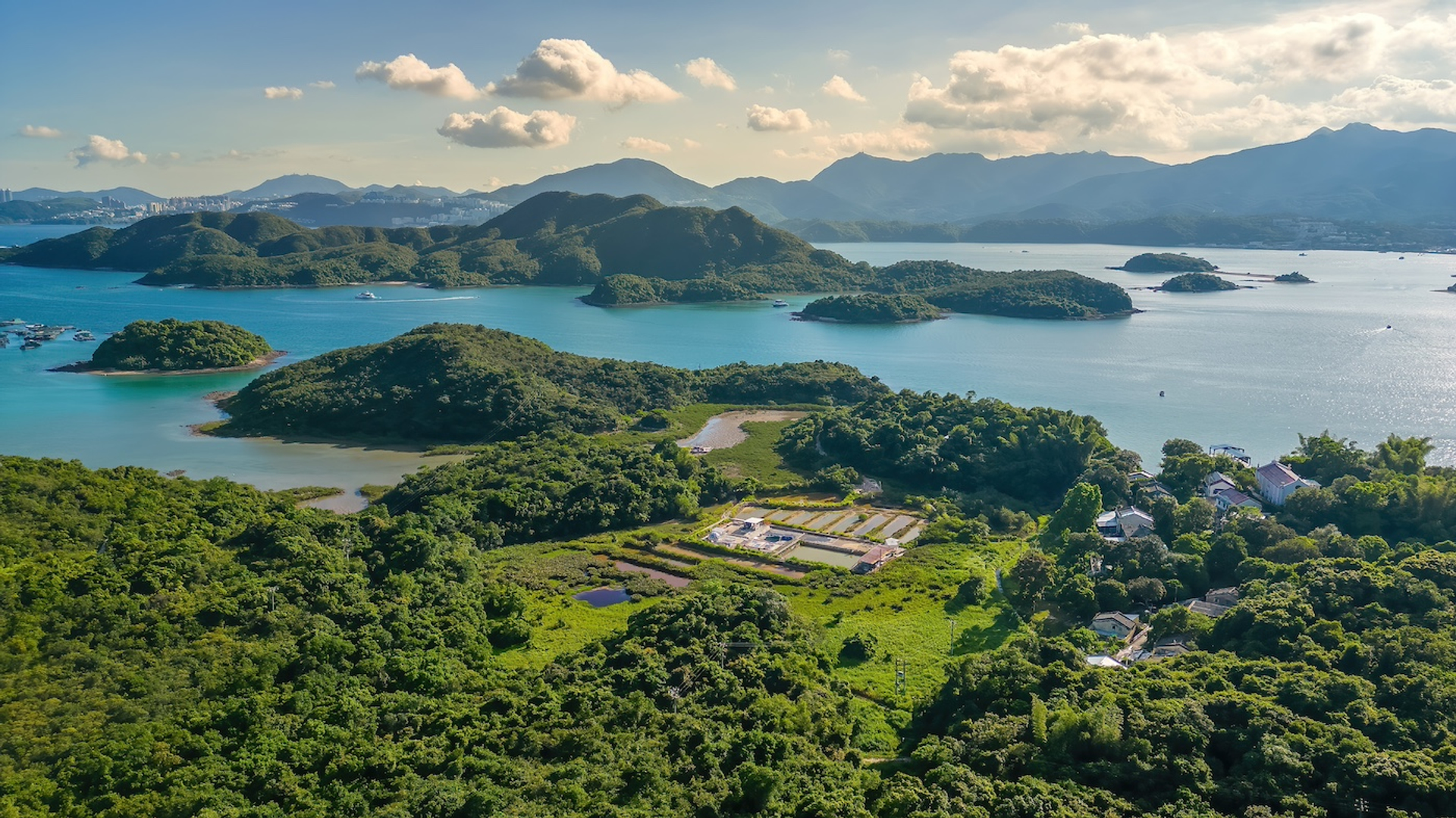 shutterstock_2338305601-1711006439