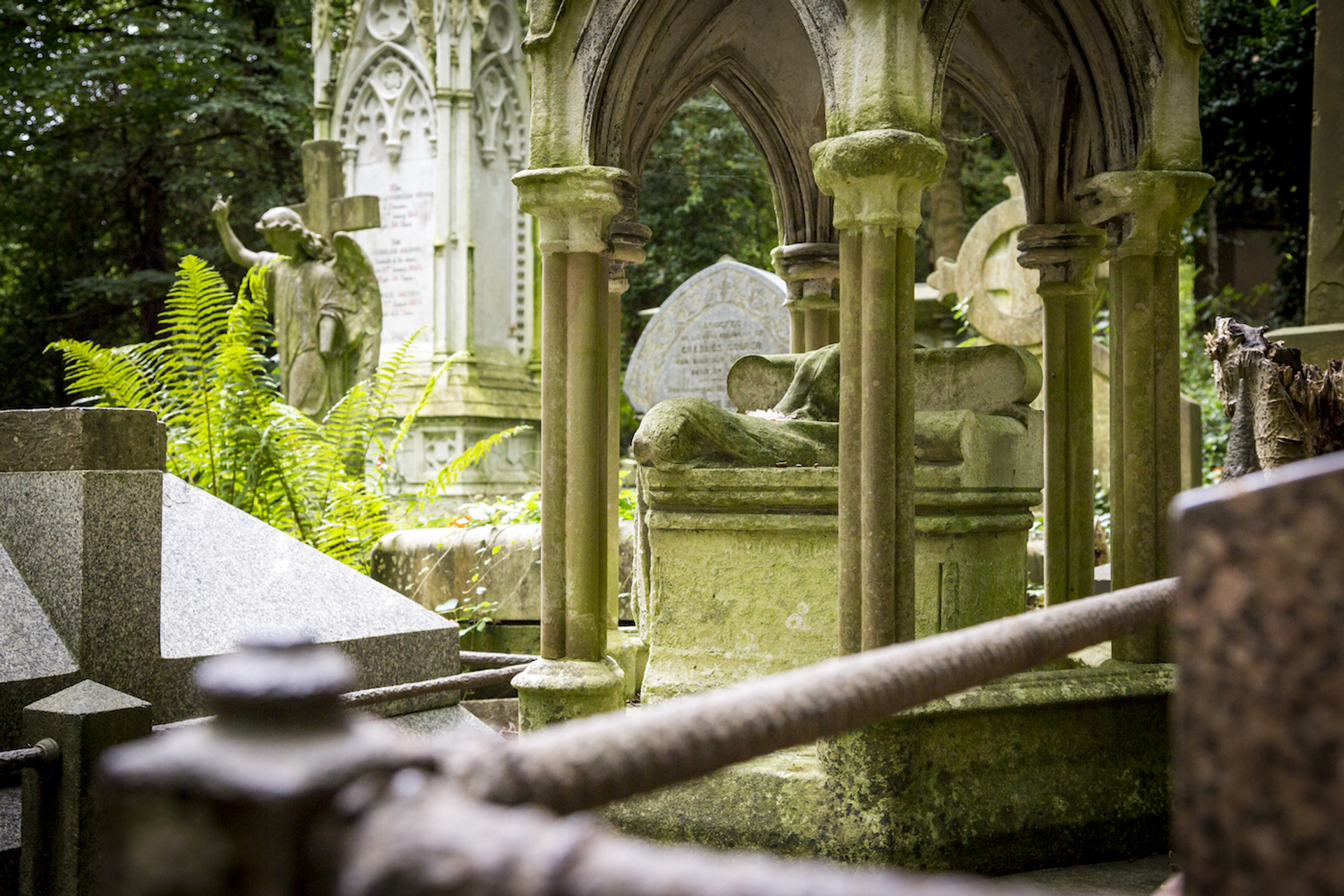 shutterstock_663498889-1637245693