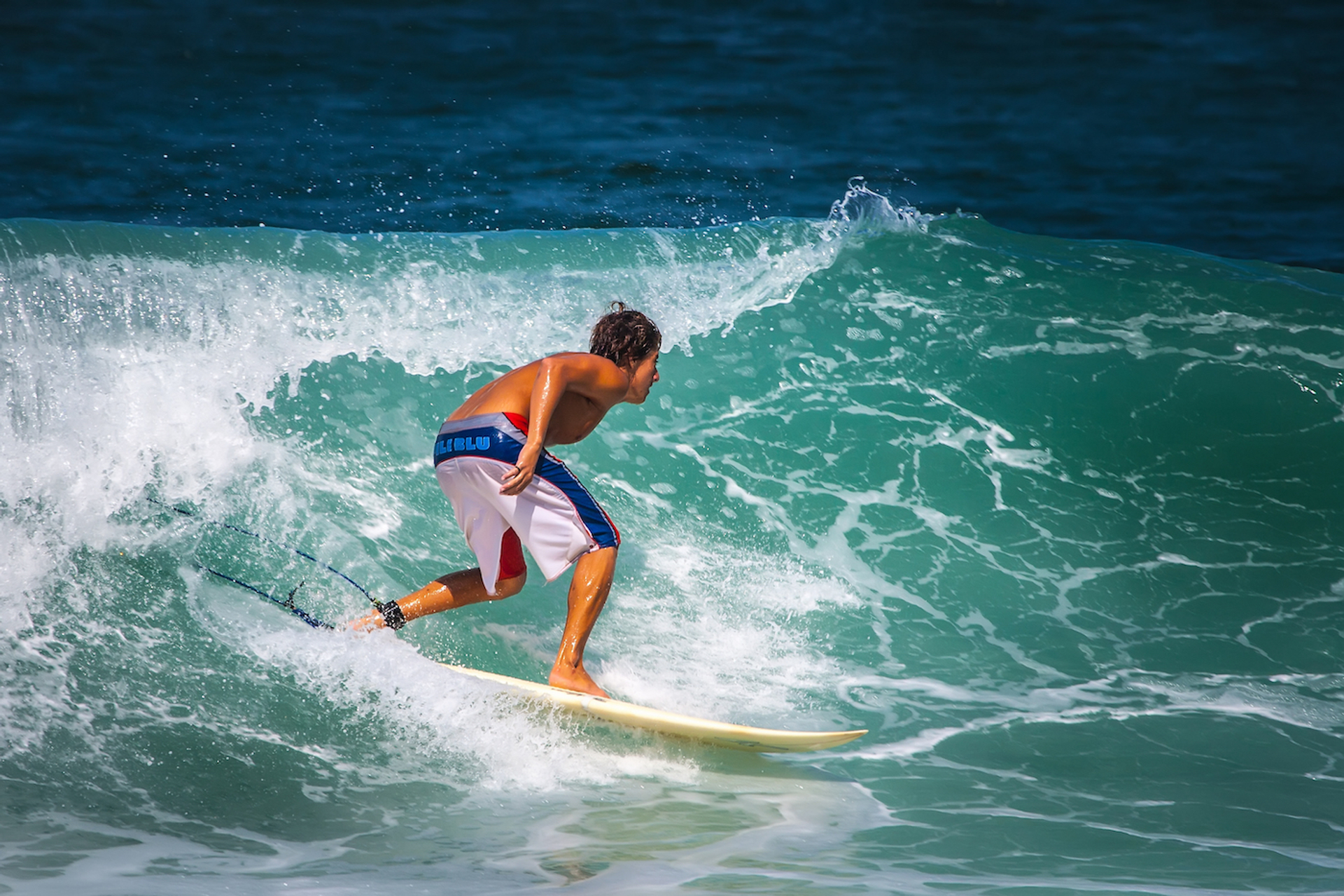 FOTOGRIN___Shutterstock.com-1697621666